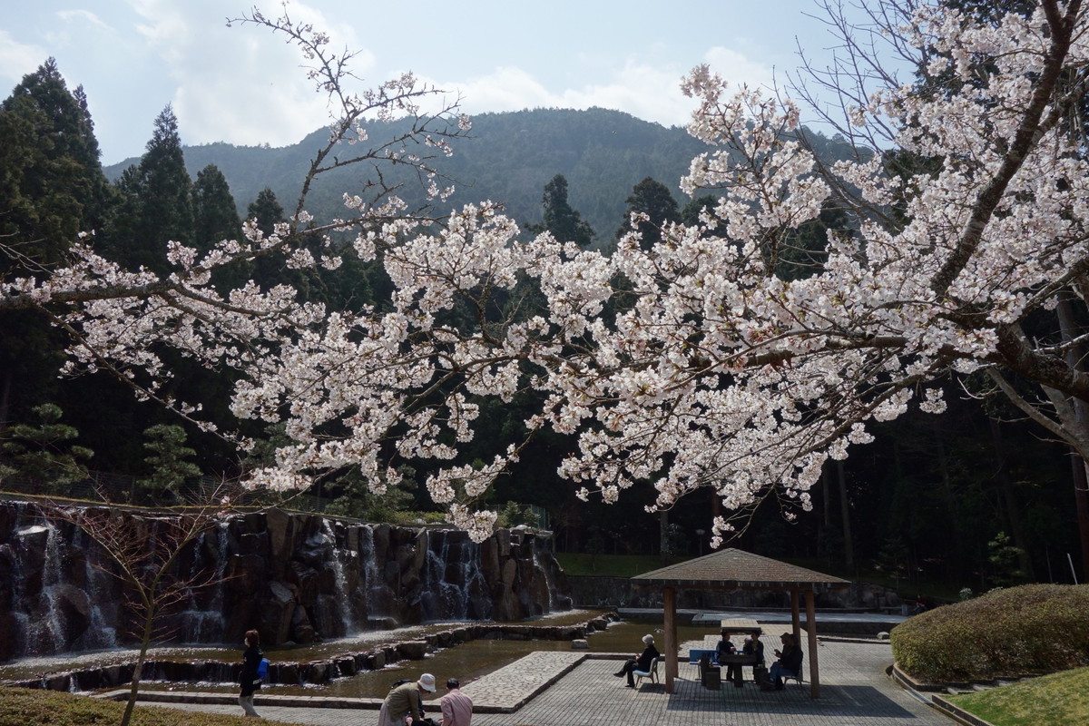 水分れ公園