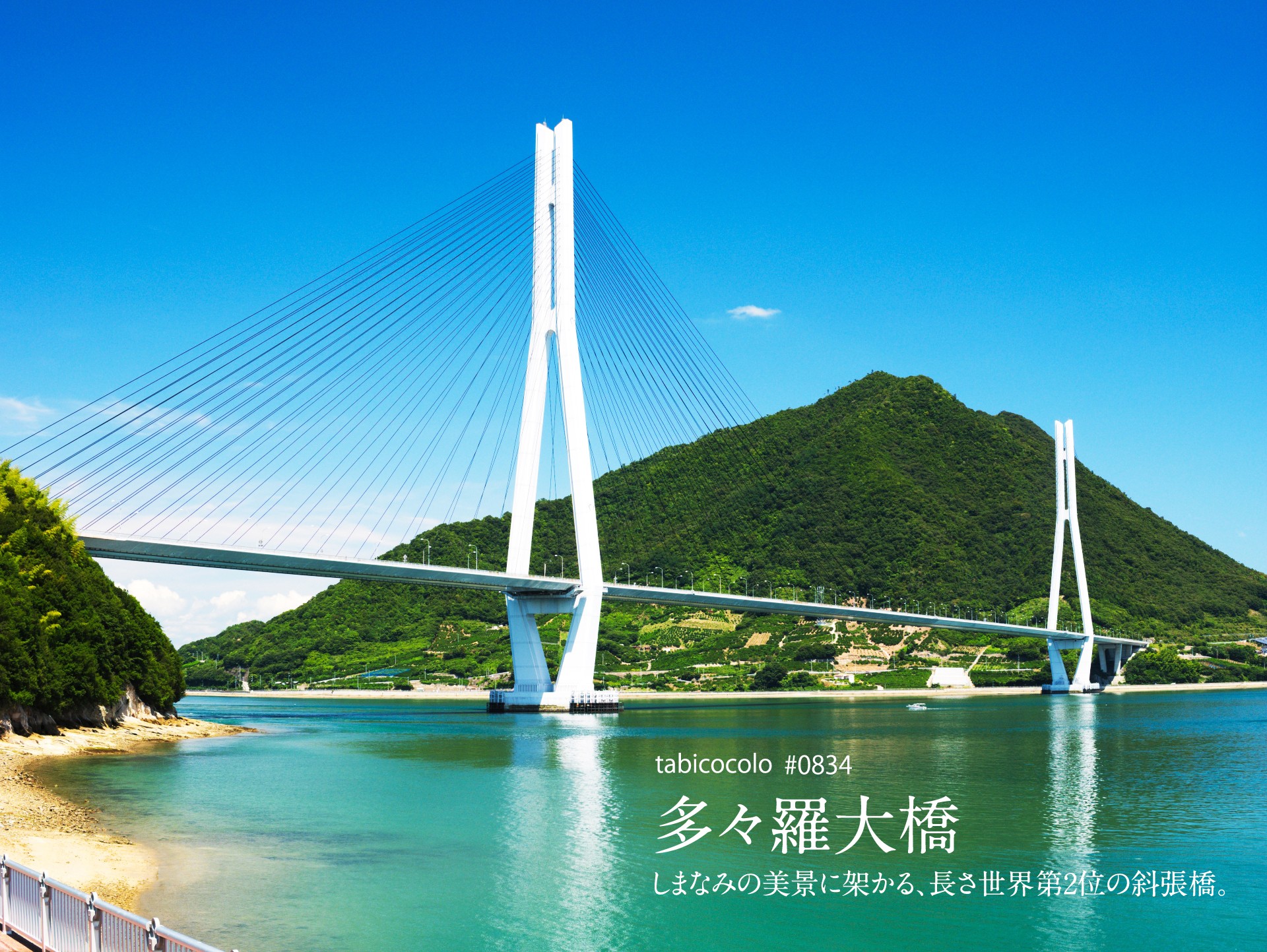 多々羅大橋