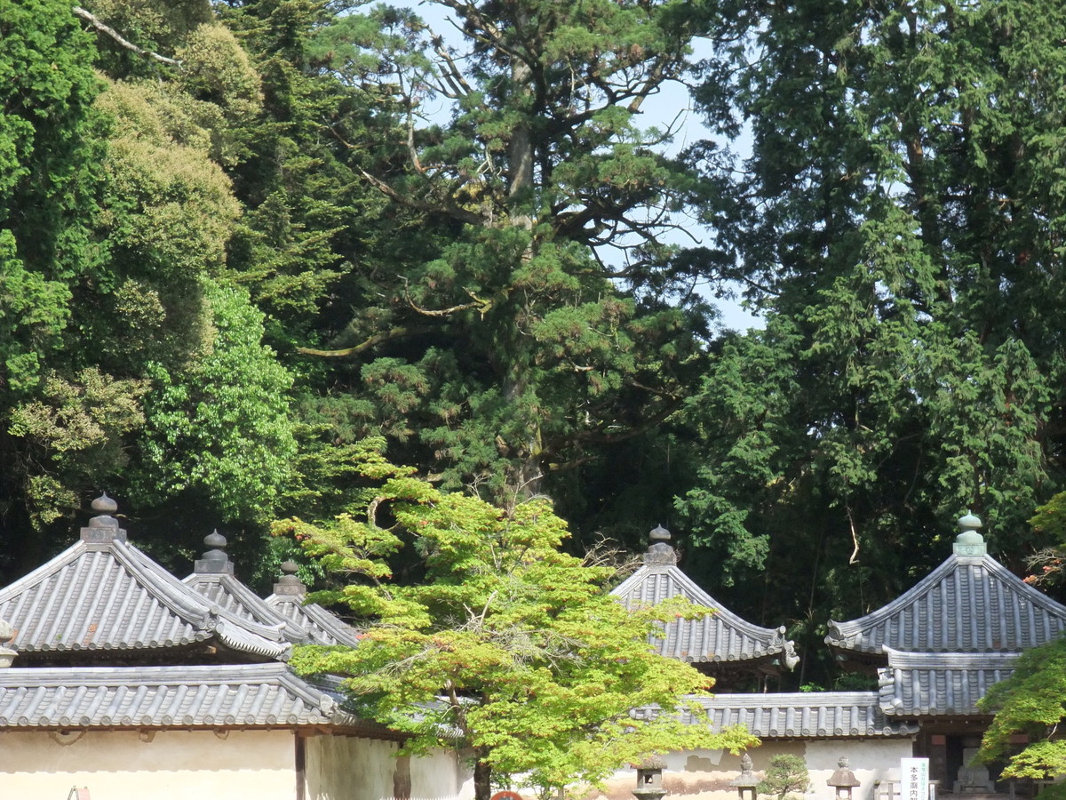 書写山 圓教寺