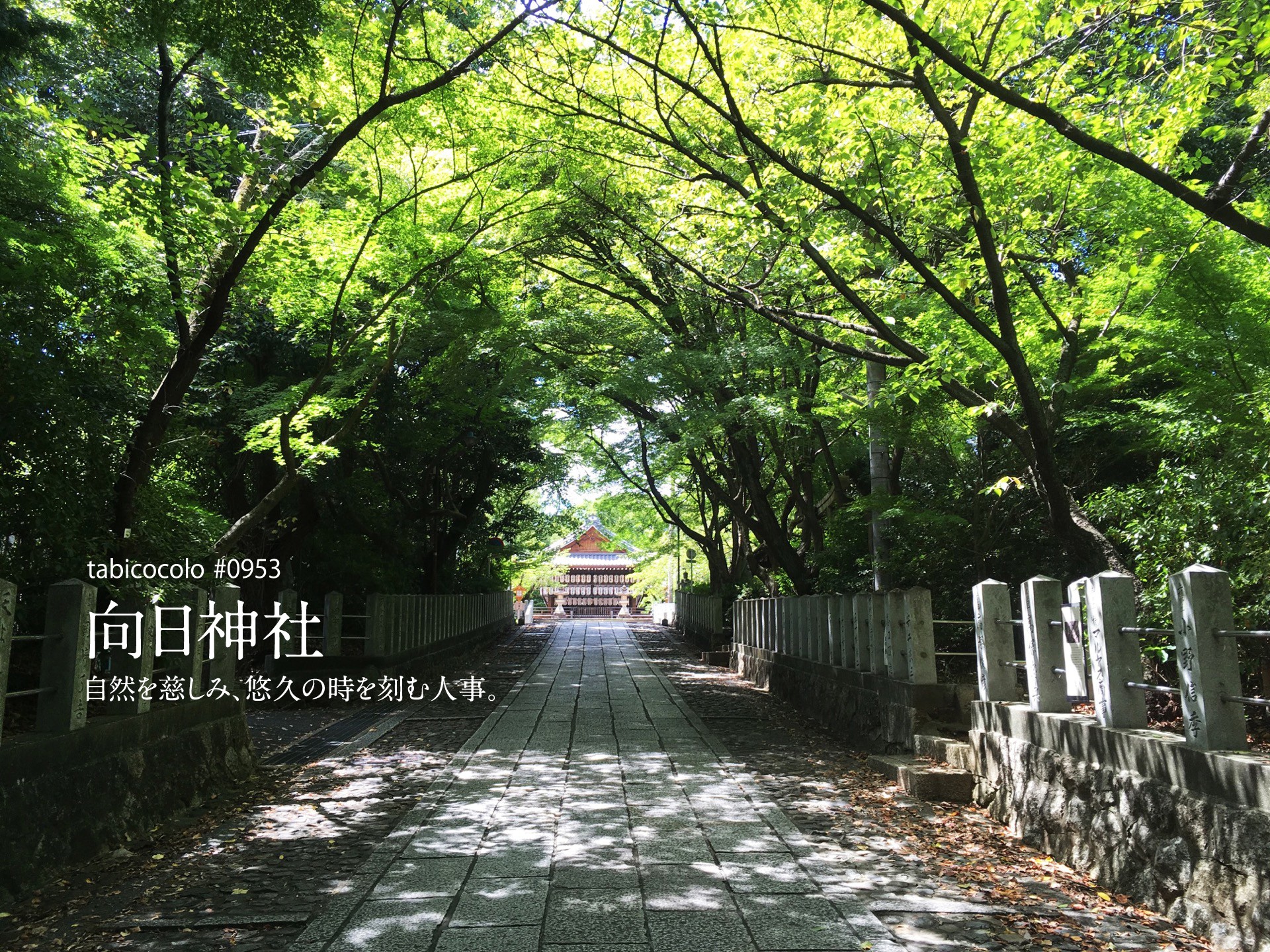 向日神社