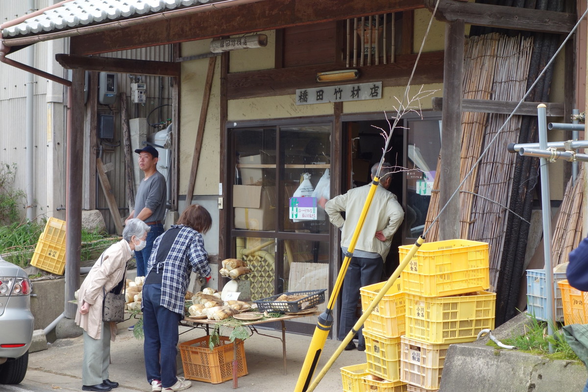 大原野の筍