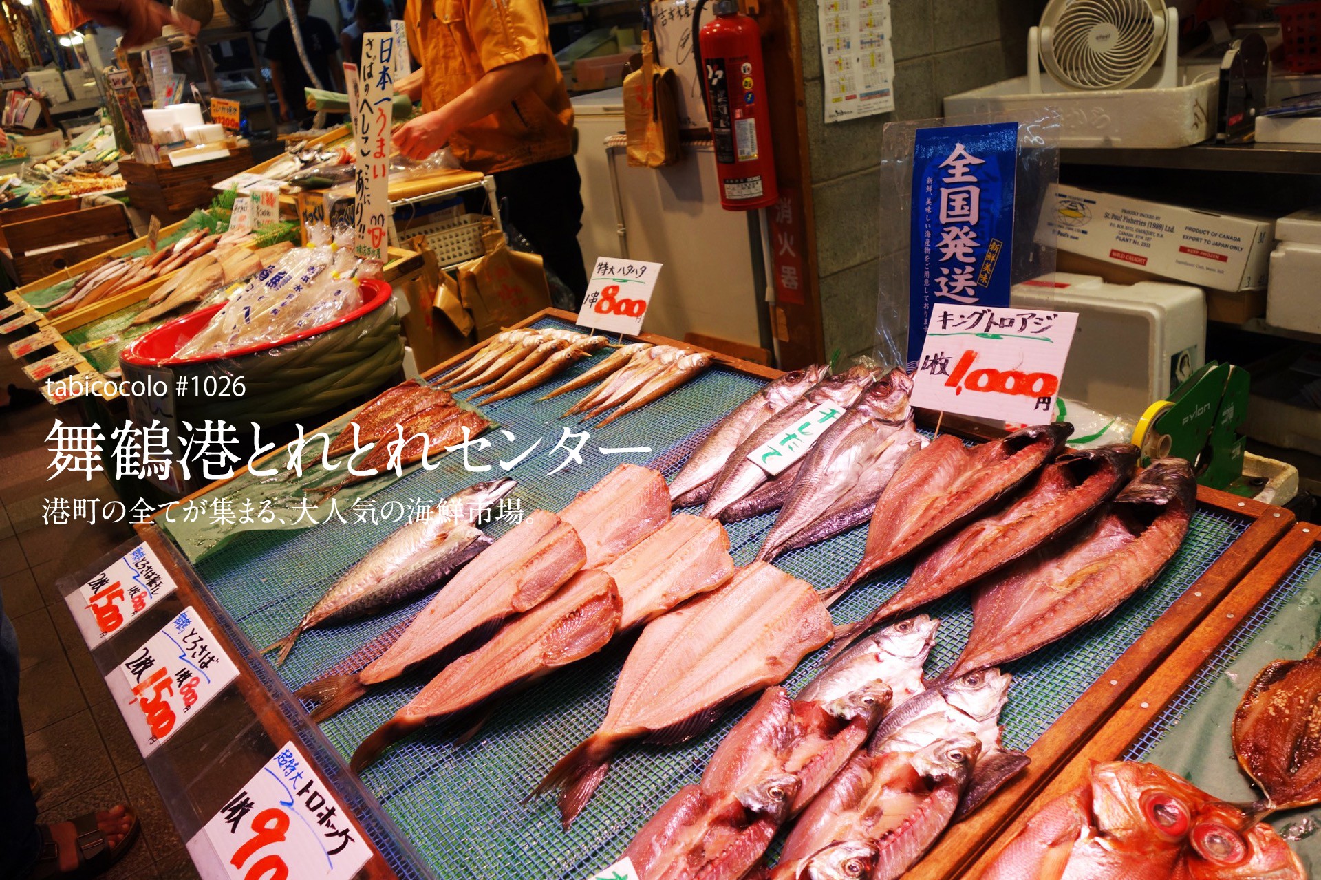 舞鶴港とれとれセンター