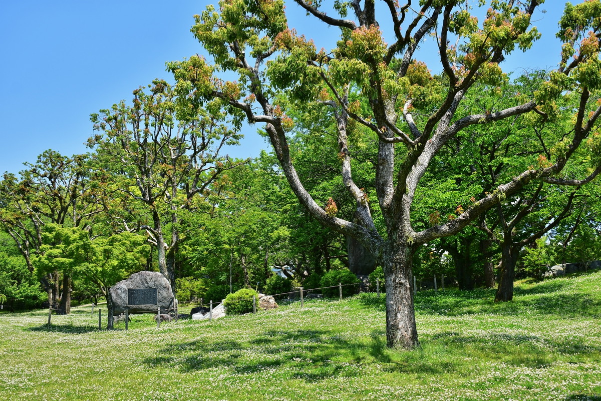 駿府城公園