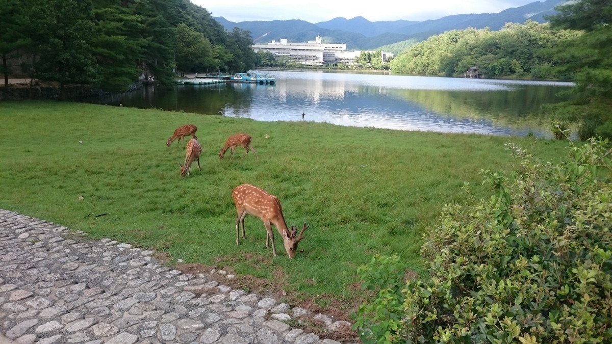 宝ヶ池公園