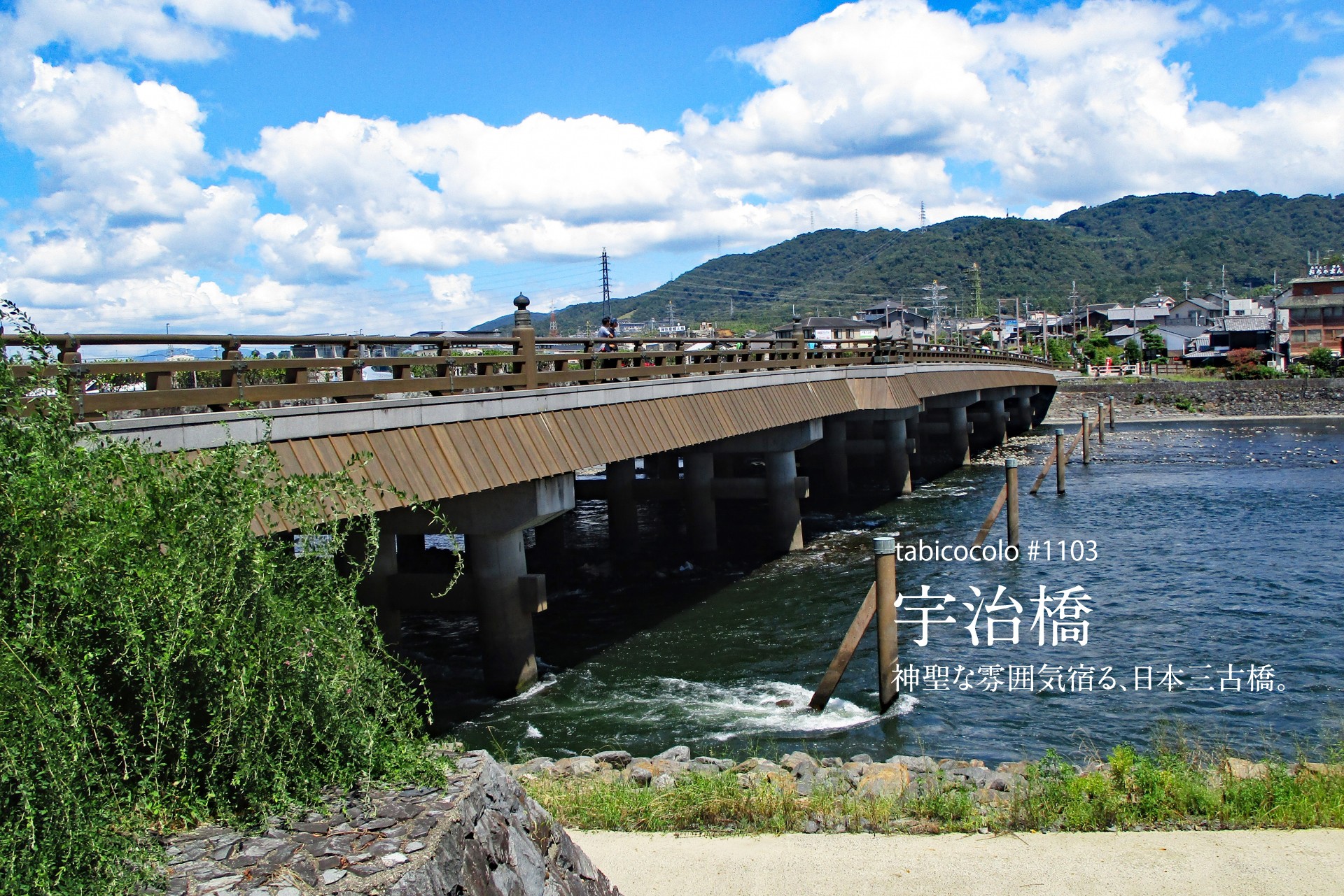 宇治橋