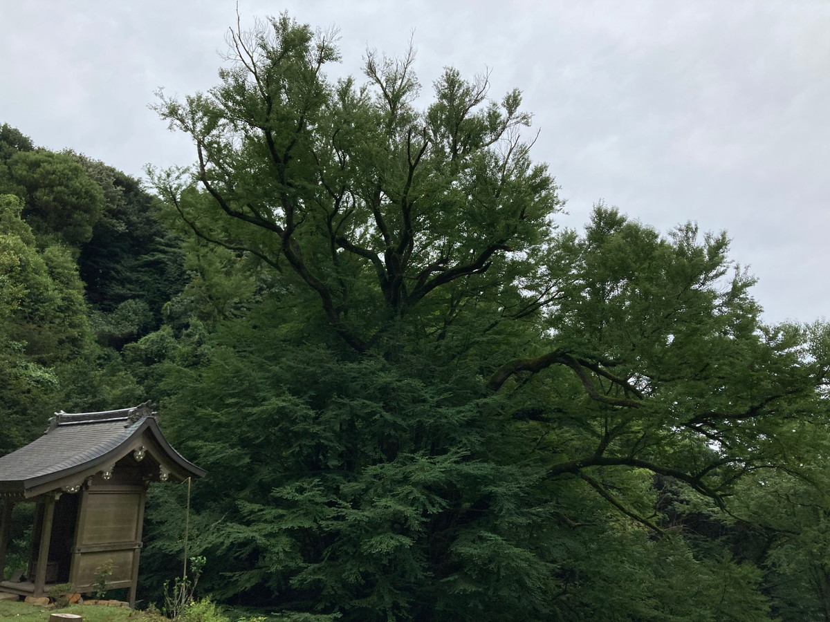 岩間寺