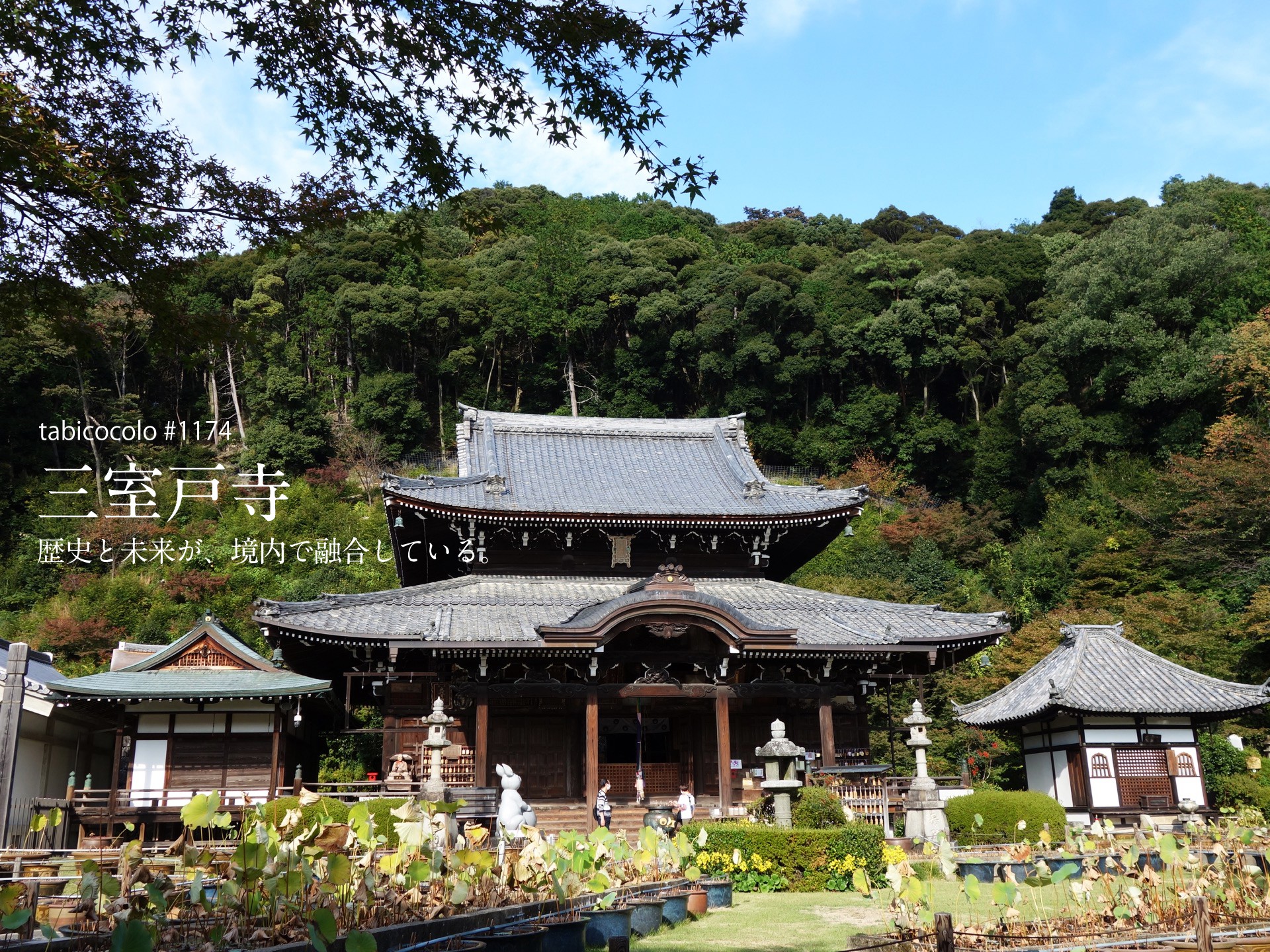 三室戸寺