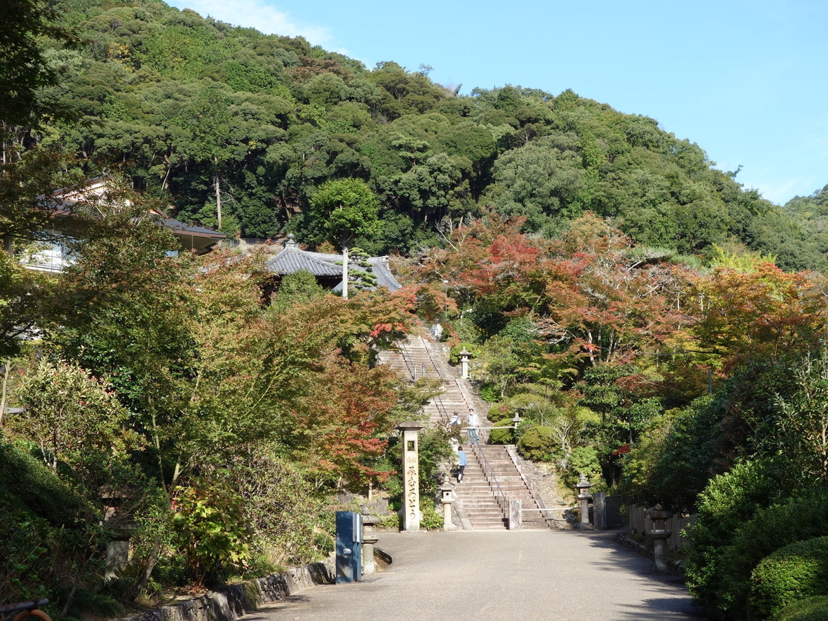 三室戸寺