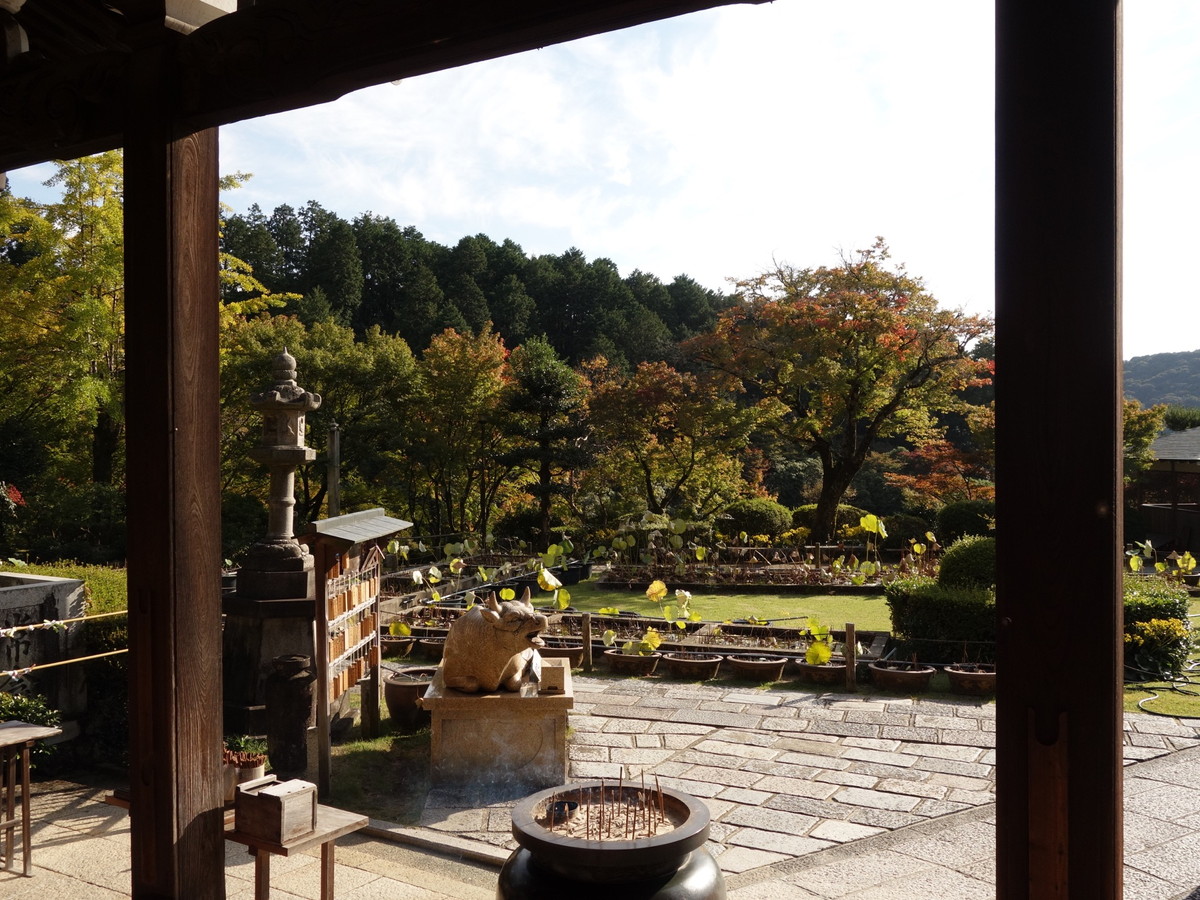 三室戸寺