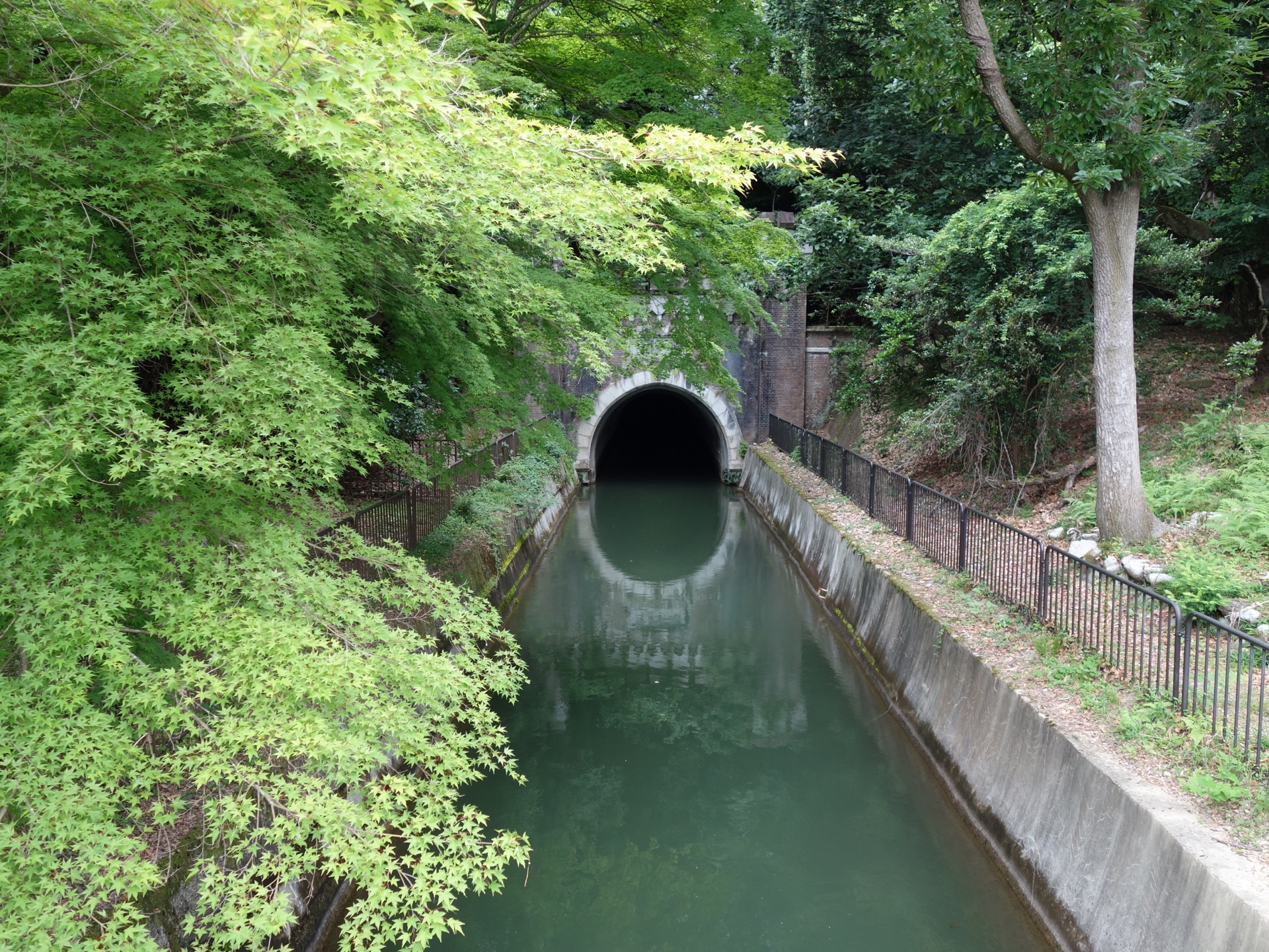 琵琶湖疎水