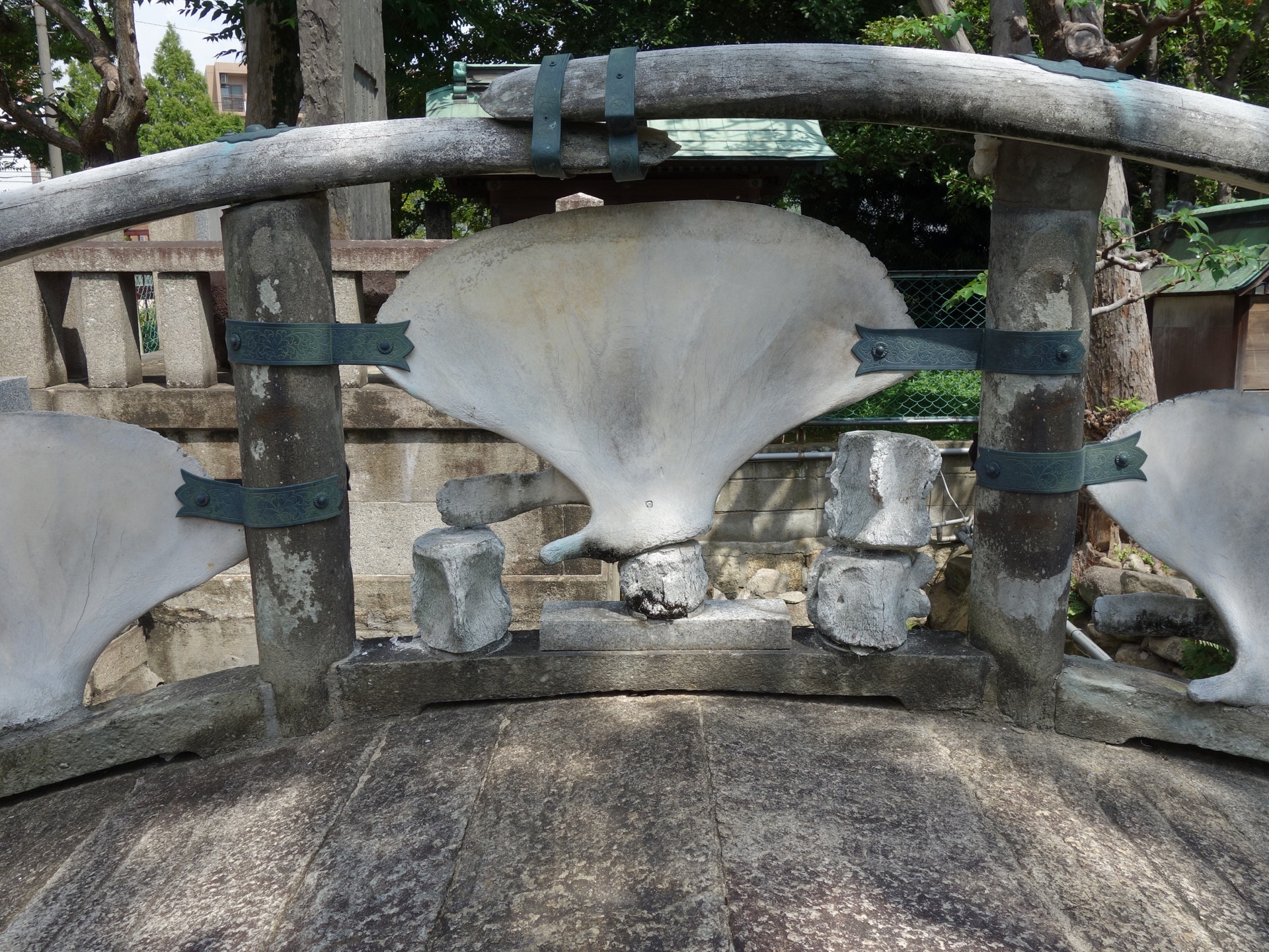 雪鯨橋(瑞光寺)