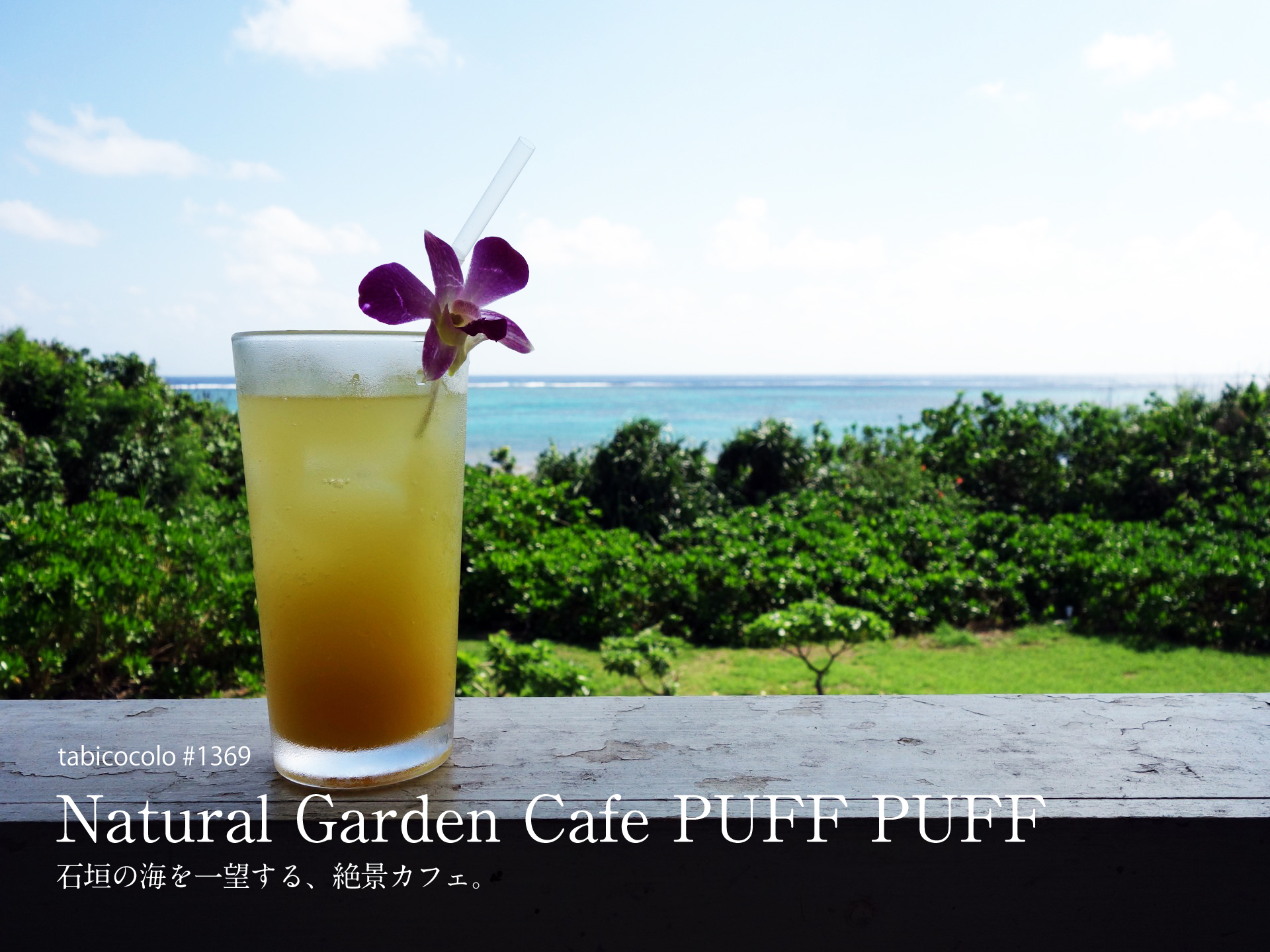 Natural Garden Cafe PUFF PUFF