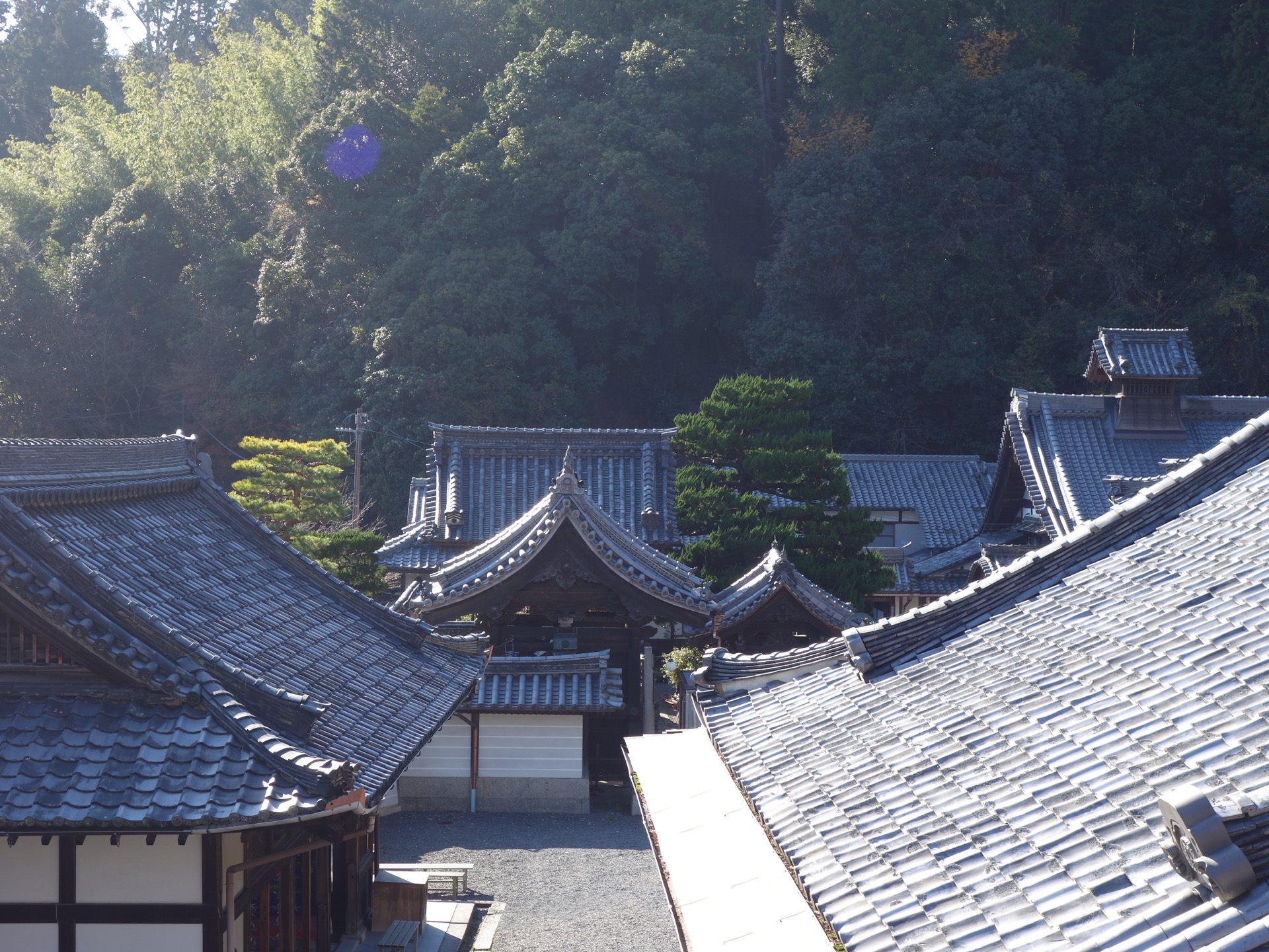 柳谷観音(楊谷寺)