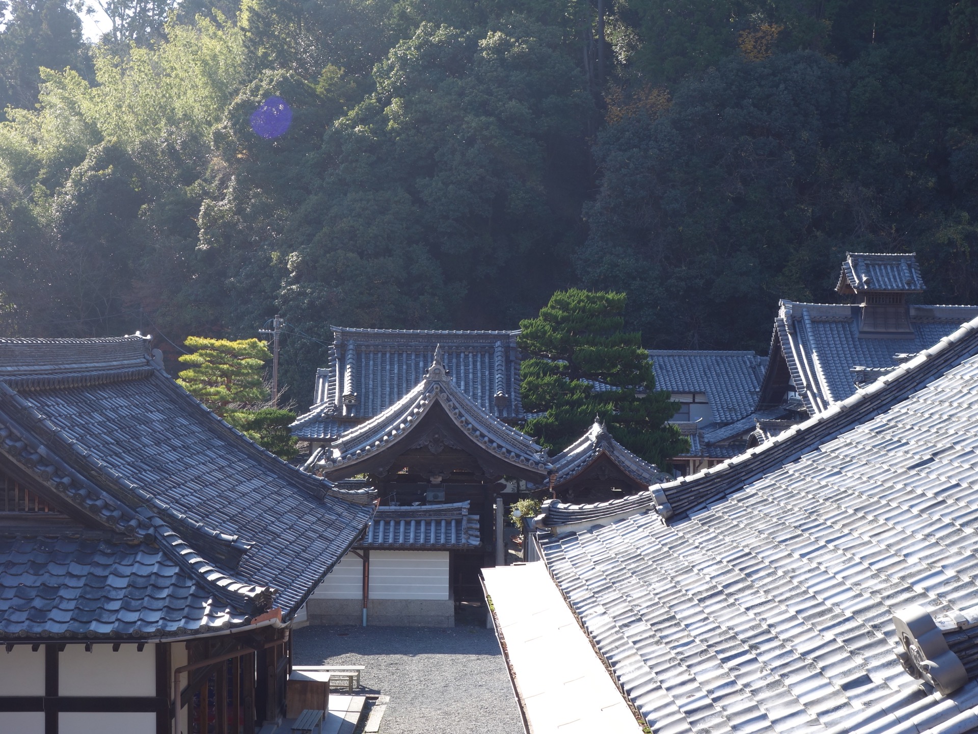 柳谷観音（楊谷寺）