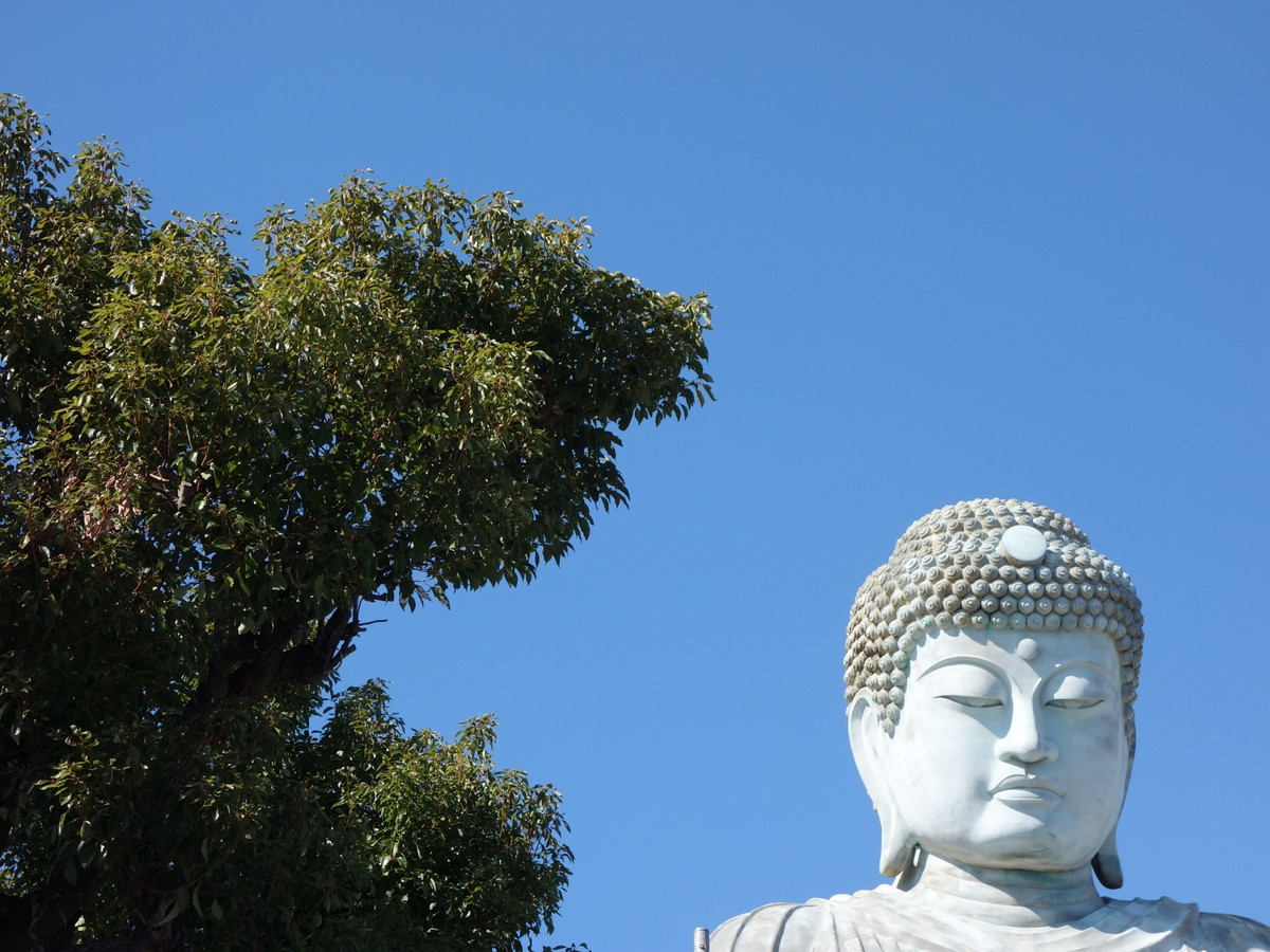 能福寺・兵庫大仏