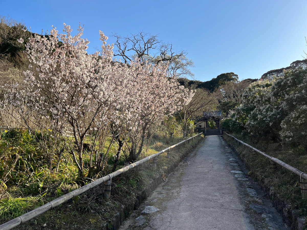 浄瑠璃寺