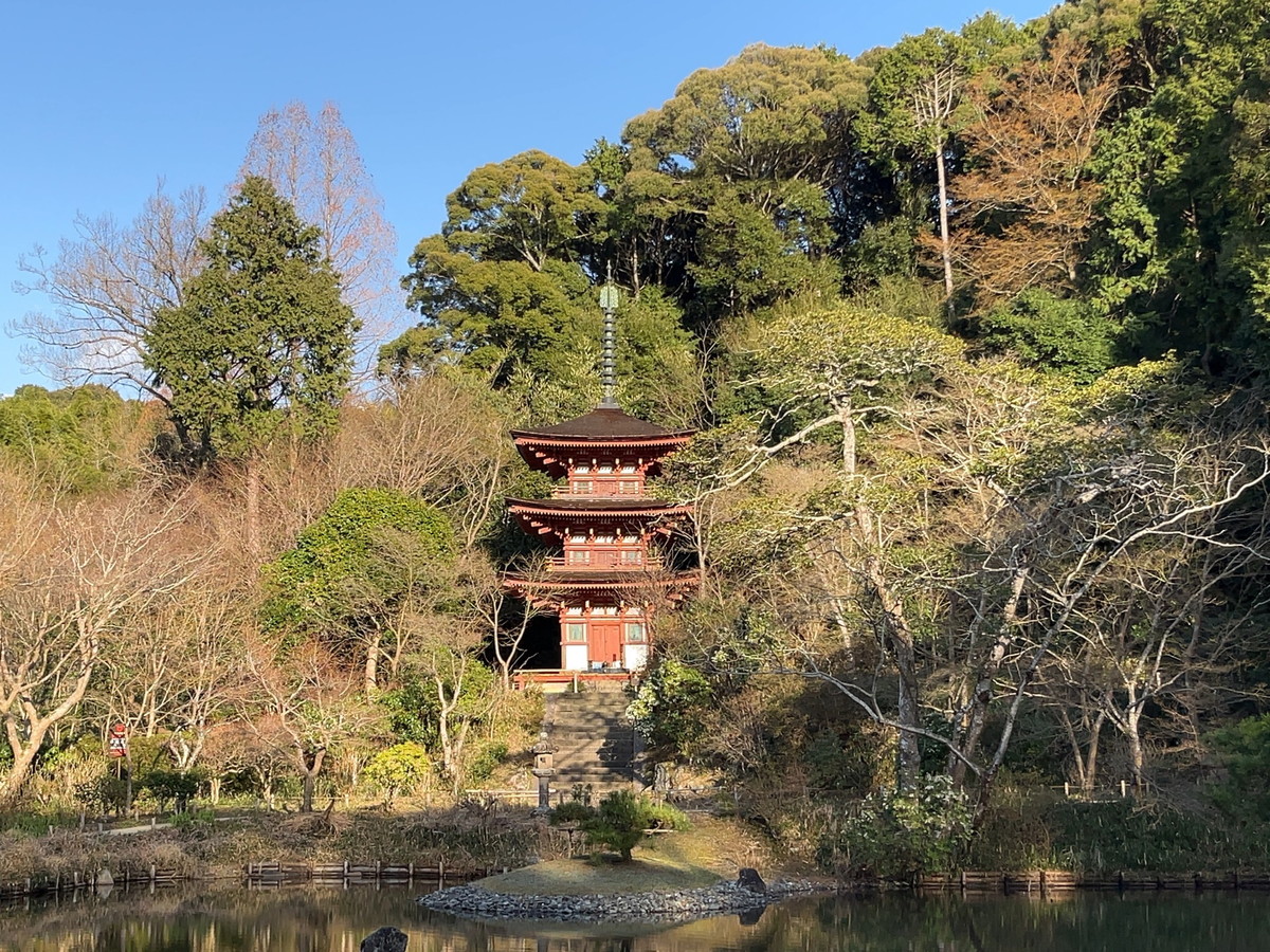 浄瑠璃寺