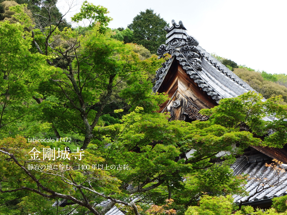 金剛城寺