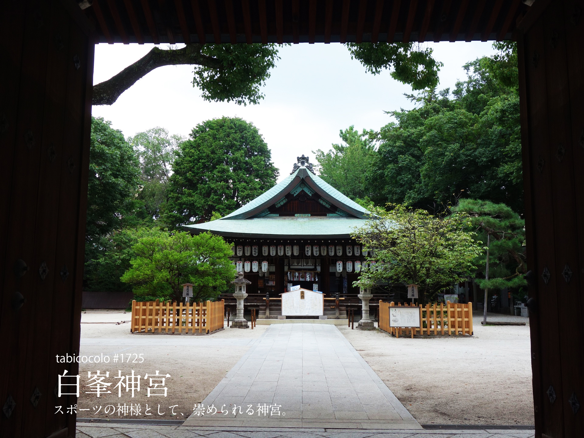 白峯神宮