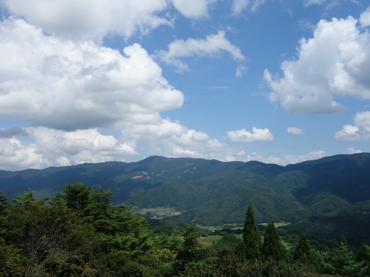 木の殿堂