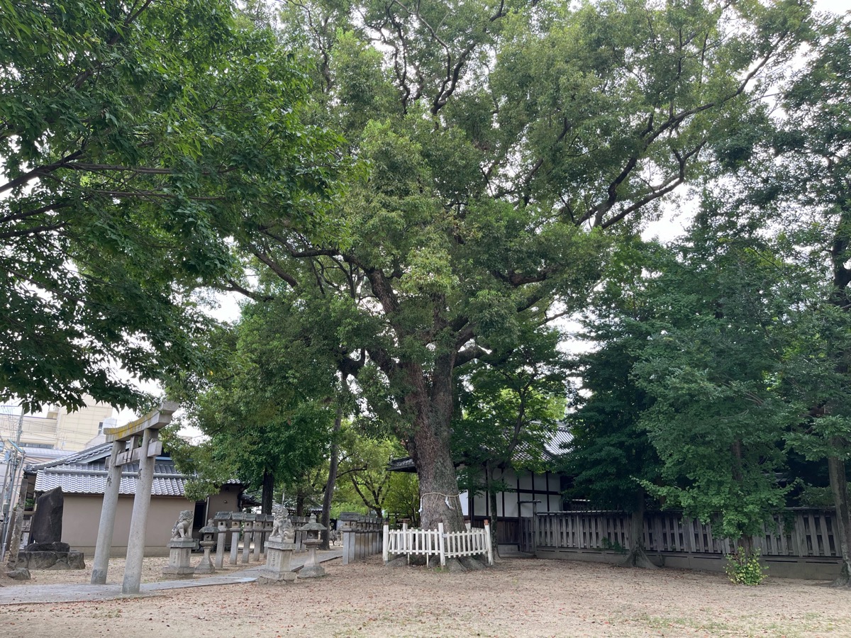 鴨高田神社