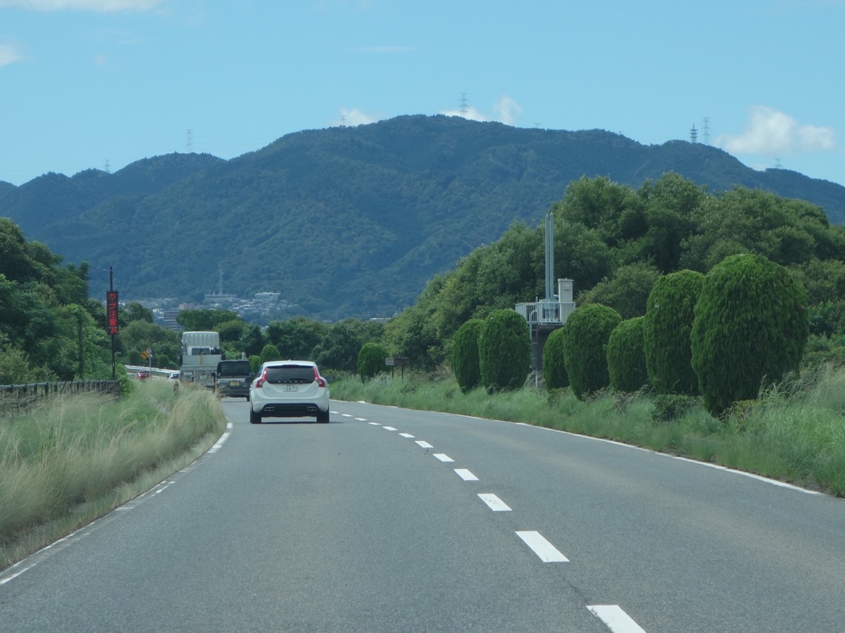 湖岸道路