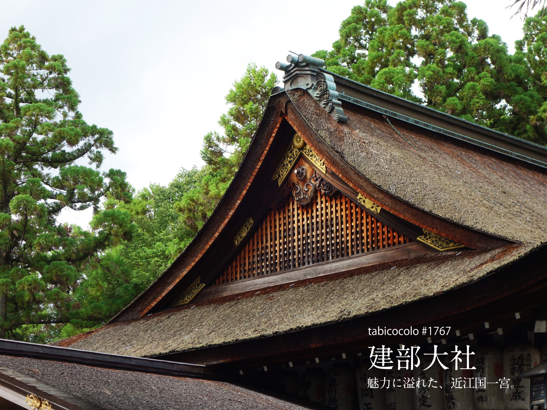 建部大社