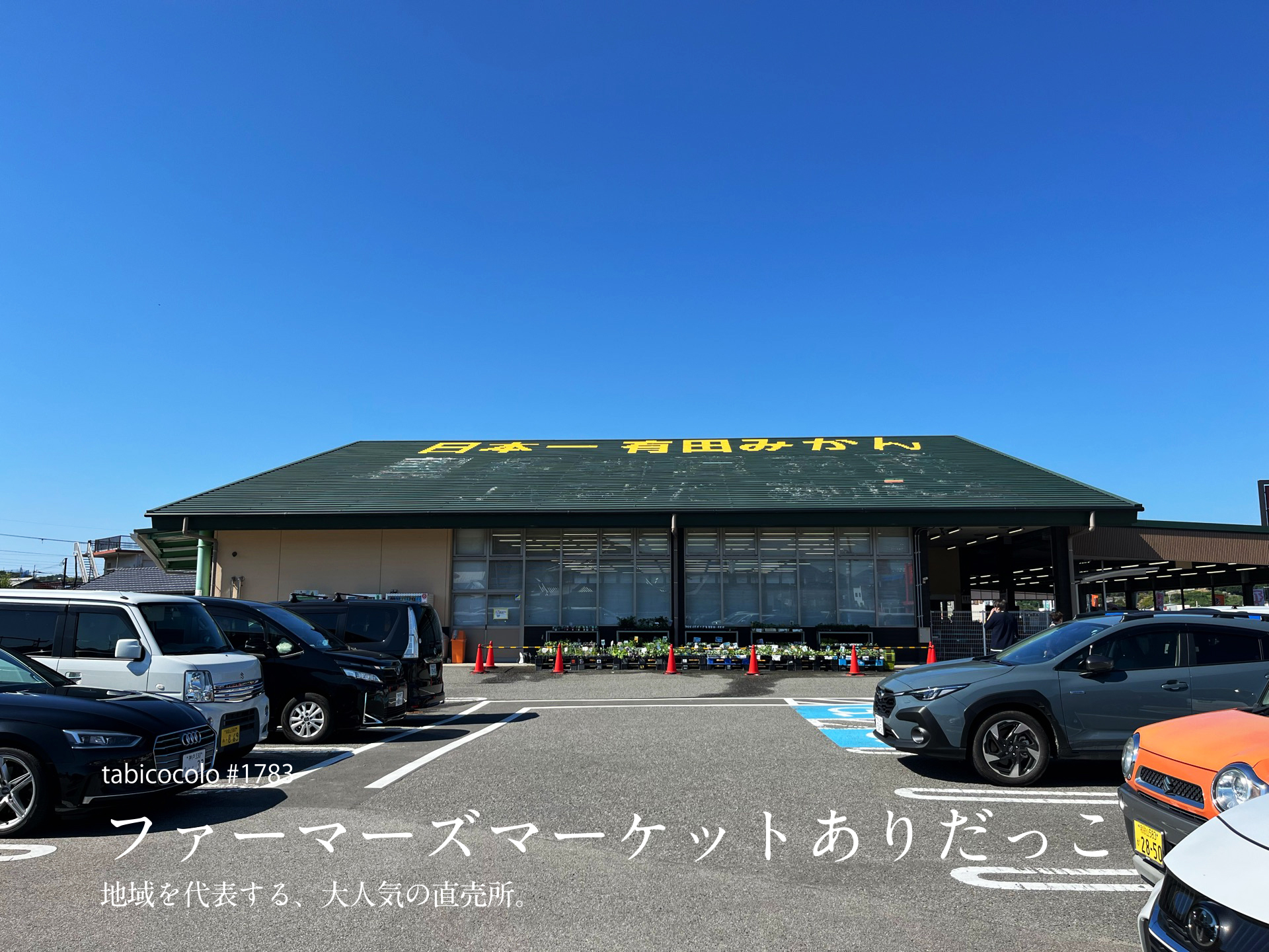 ファーマーズマーケットありだっこ