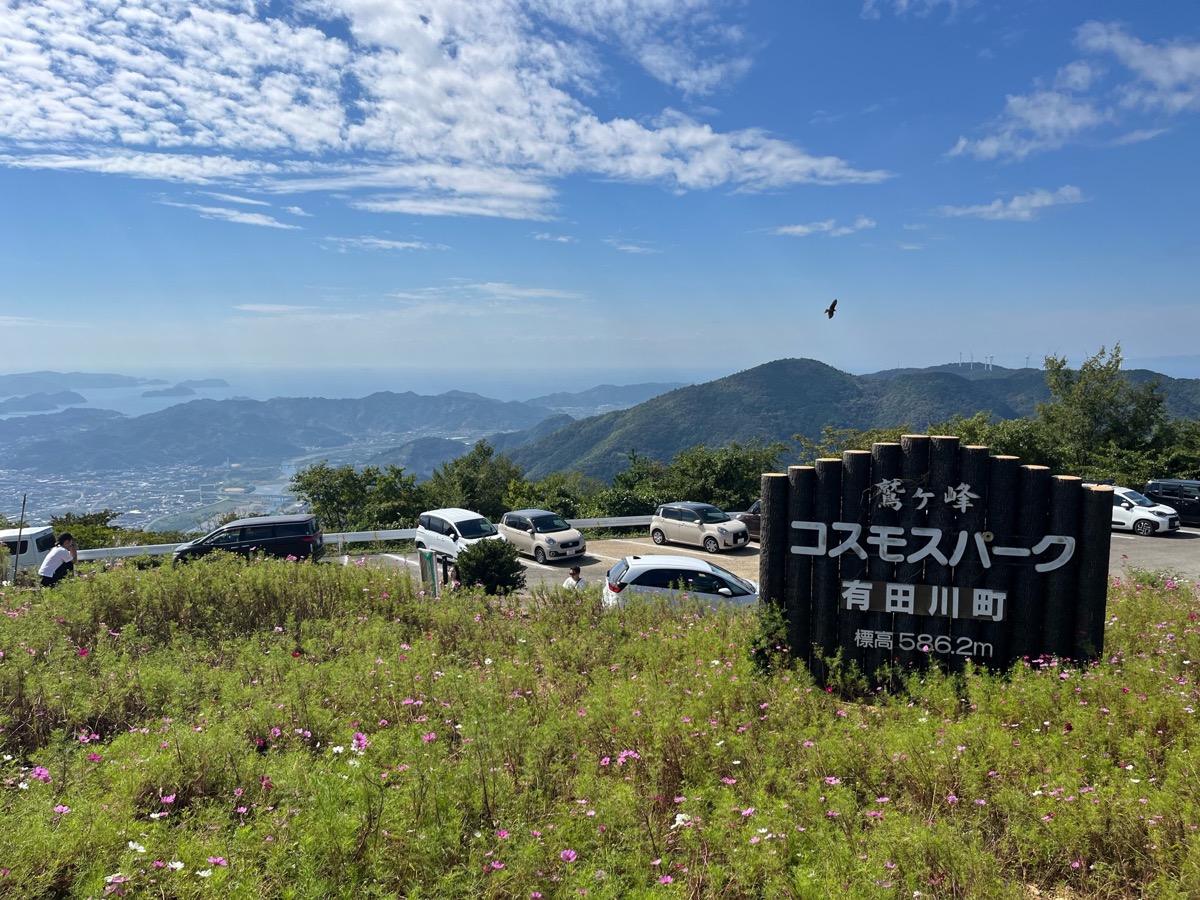 鷲ヶ峰コスモスパーク