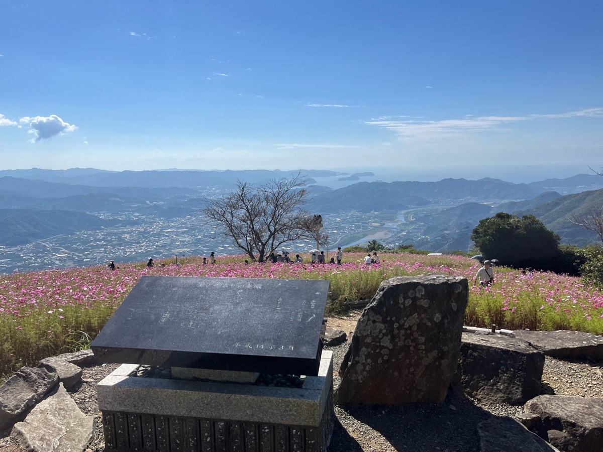 鷲ヶ峰コスモスパーク