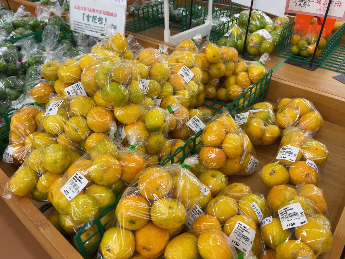 有田みかん畑