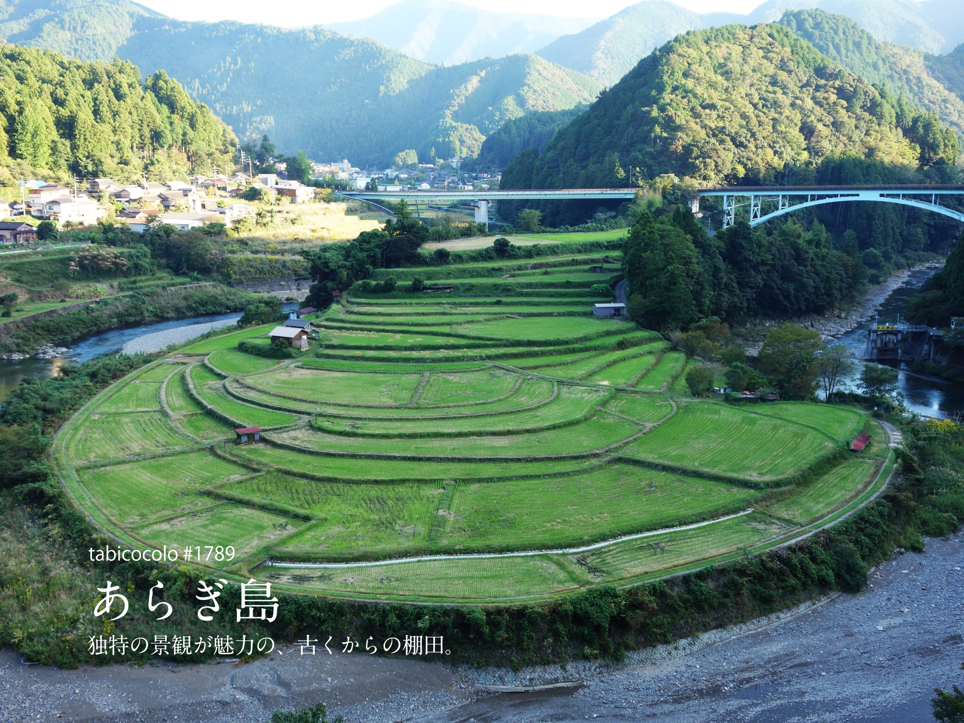 あらぎ島