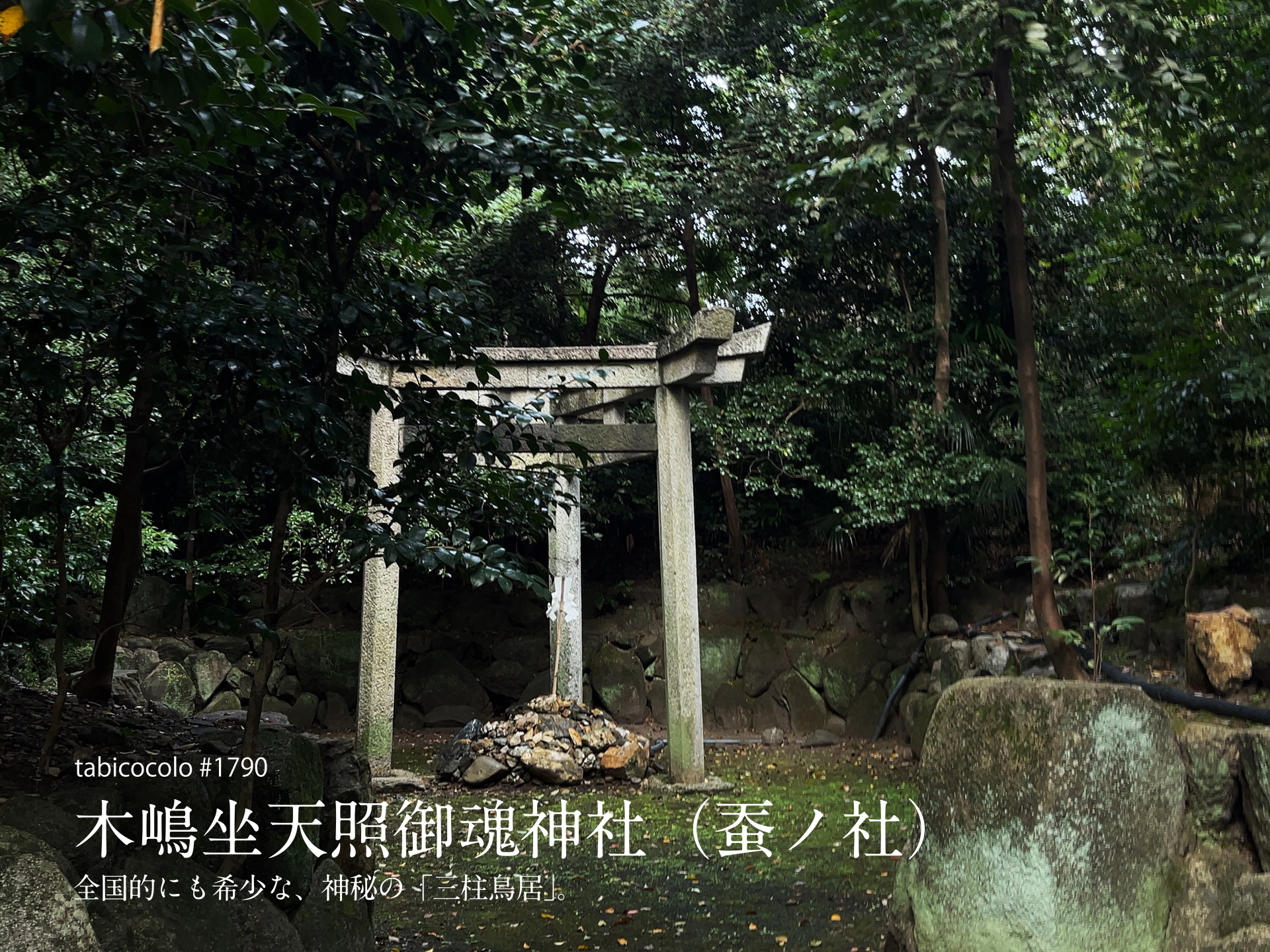 木嶋坐天照御魂神社（蚕ノ社）