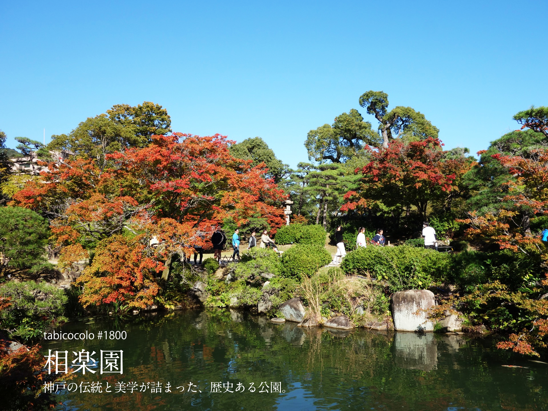 相楽園