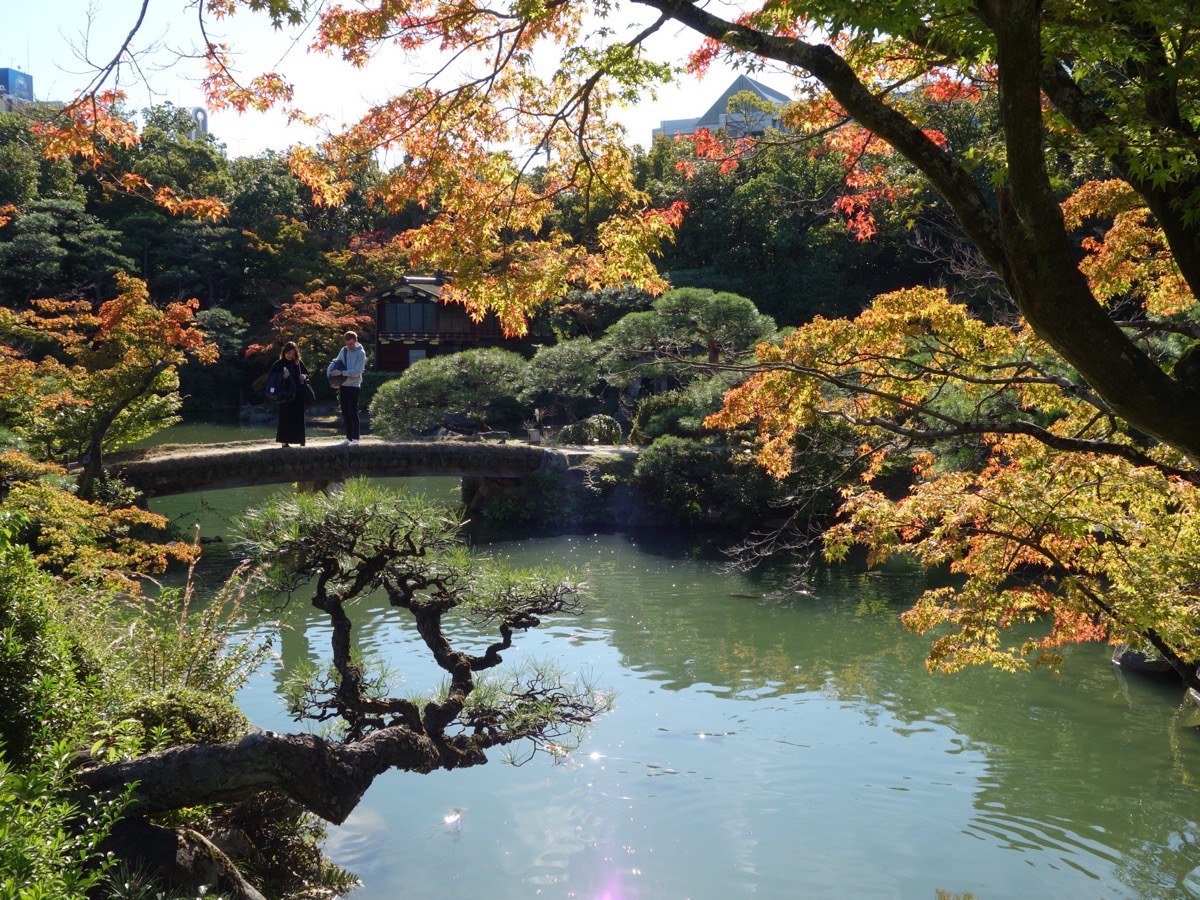 相楽園