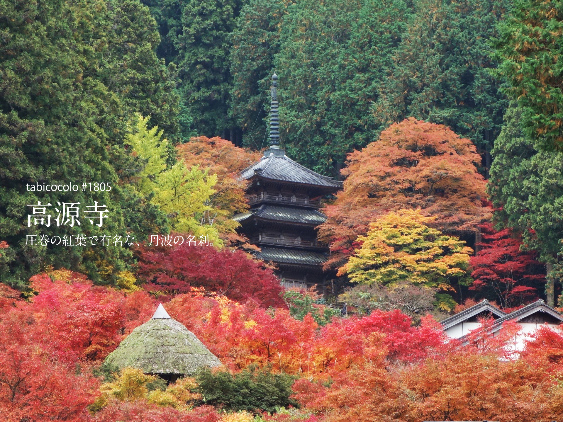 高源寺