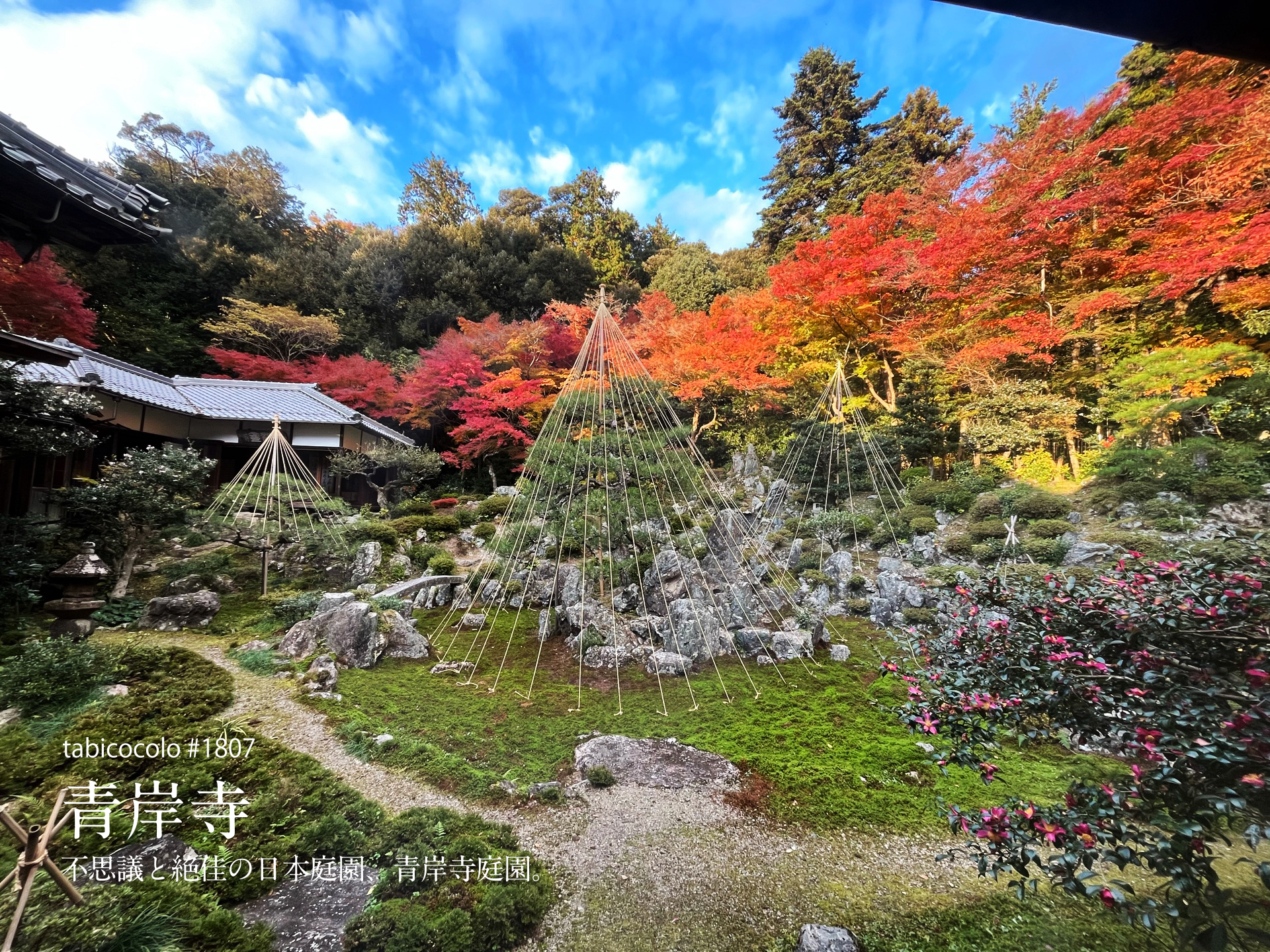 青岸寺