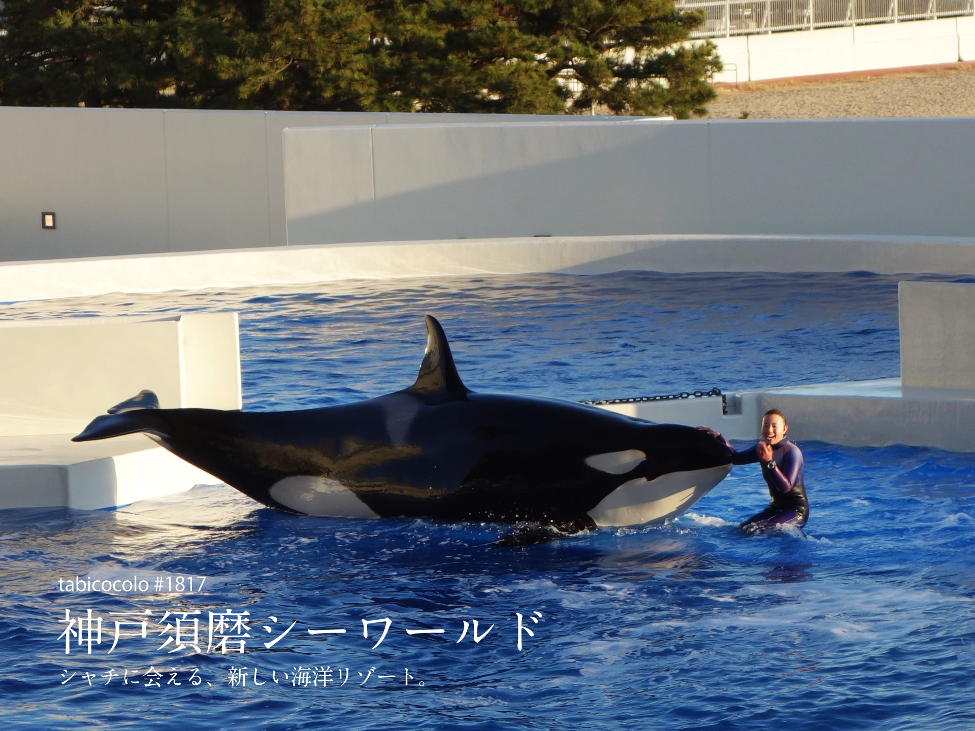 神戸須磨シーワールド