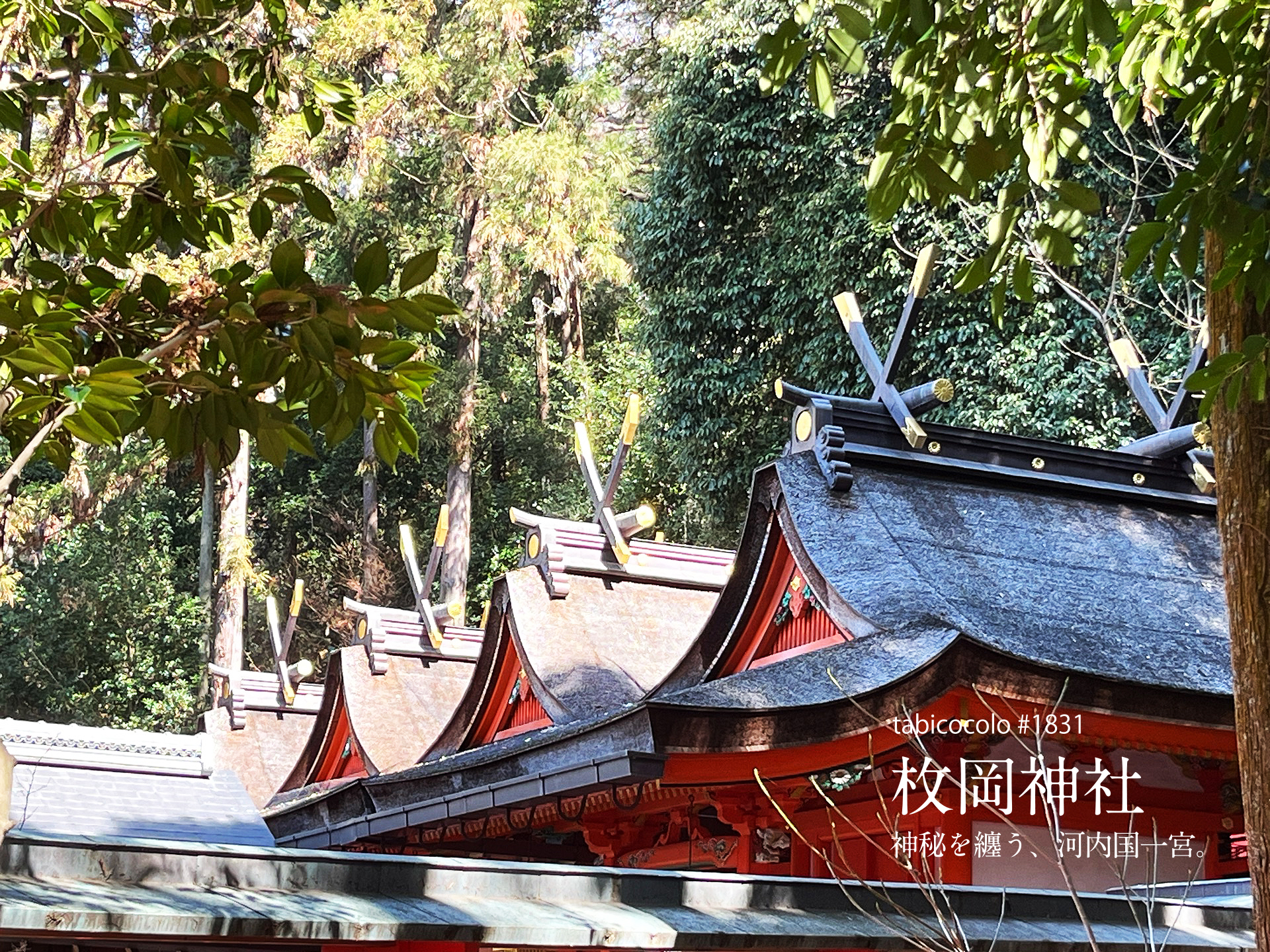 枚岡神社
