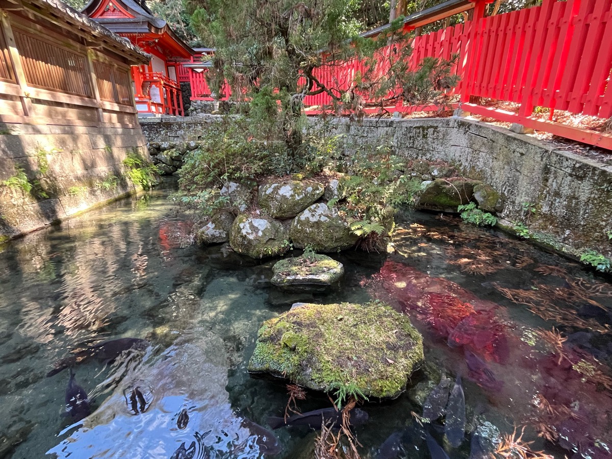 枚岡神社