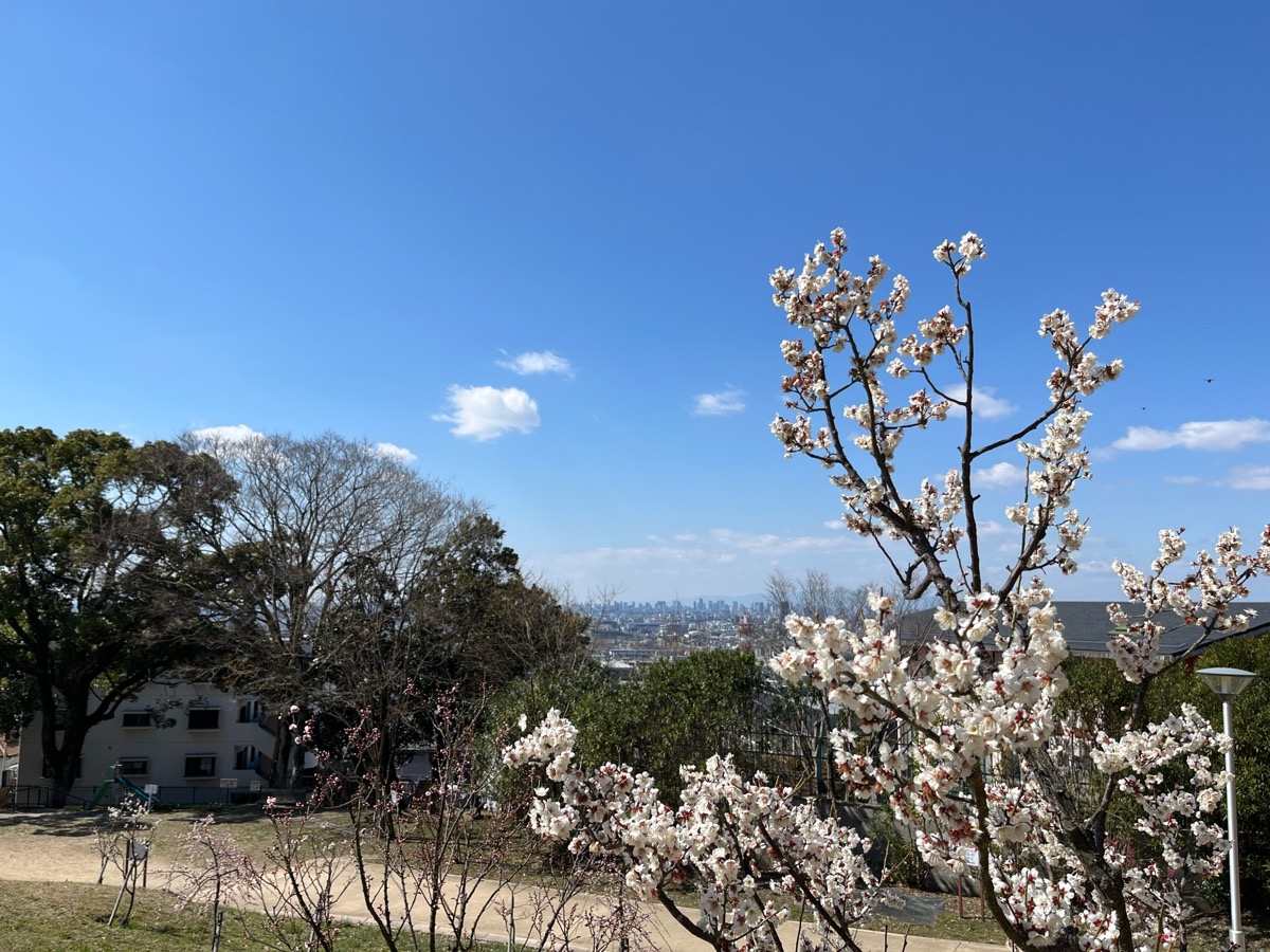 枚岡神社