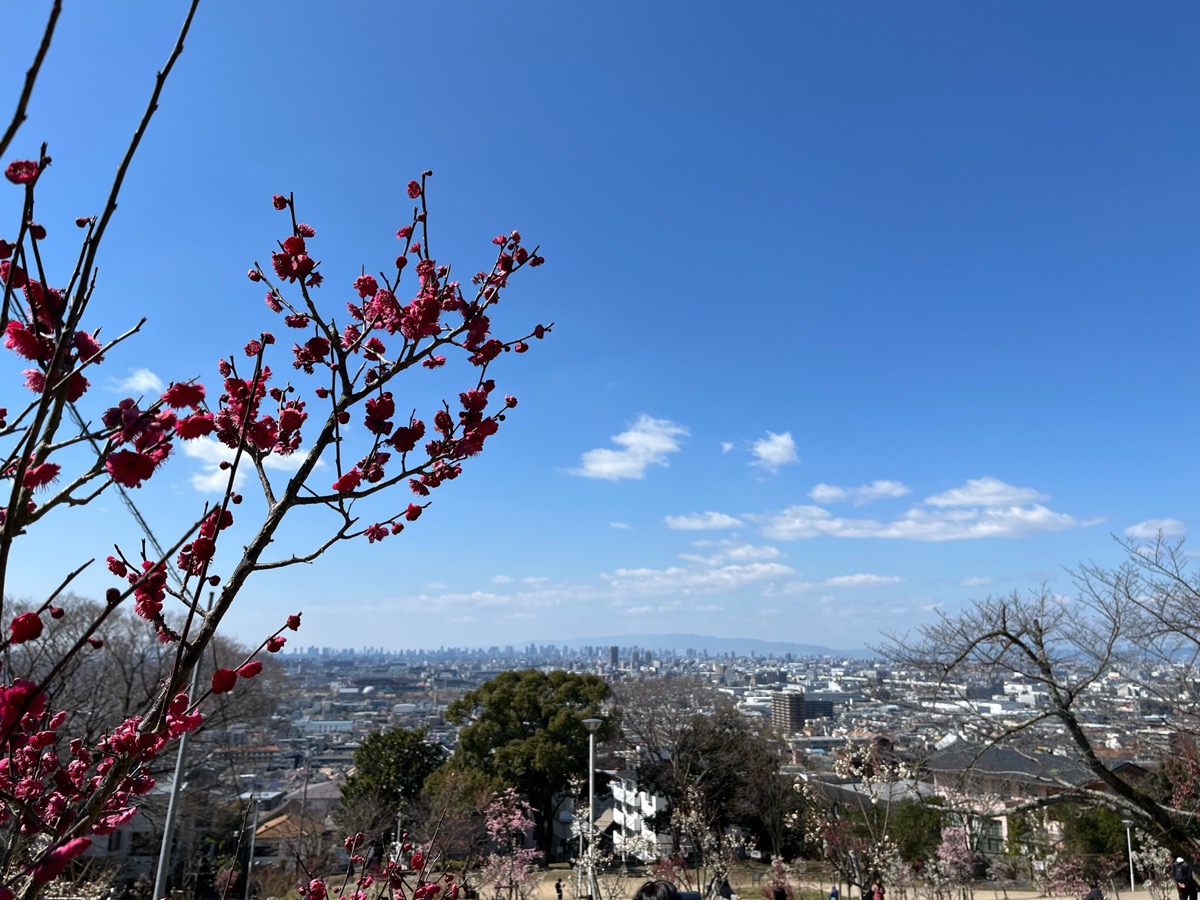 枚岡梅林