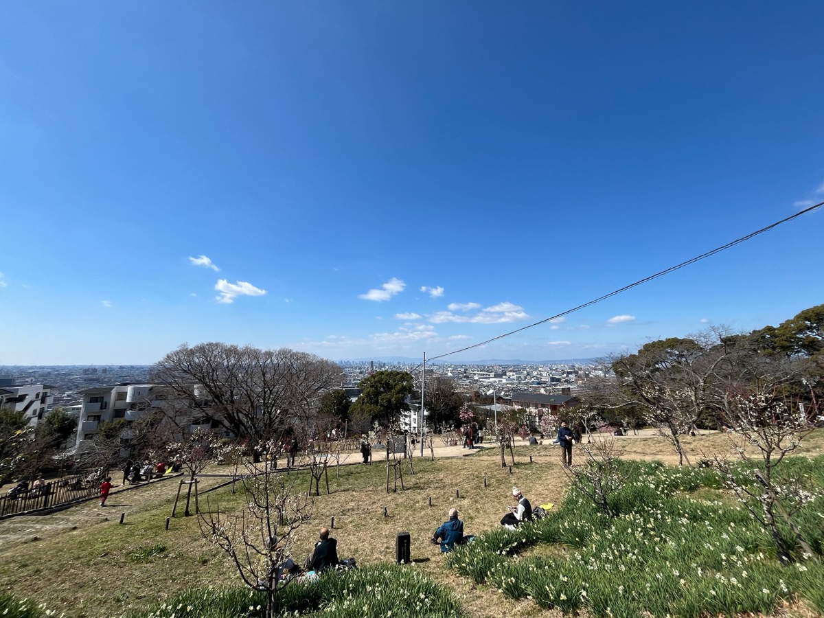 枚岡梅林