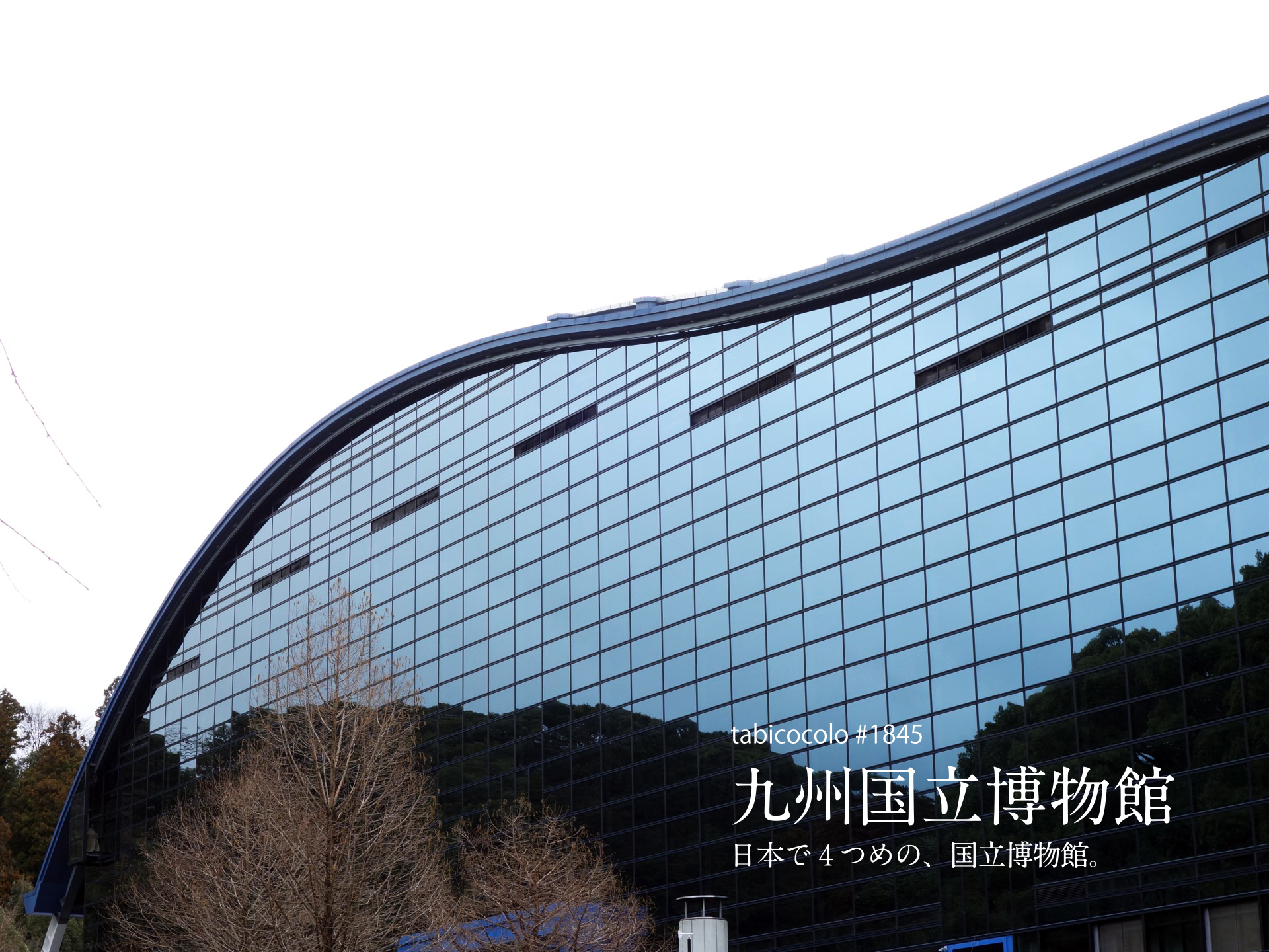 九州国立博物館