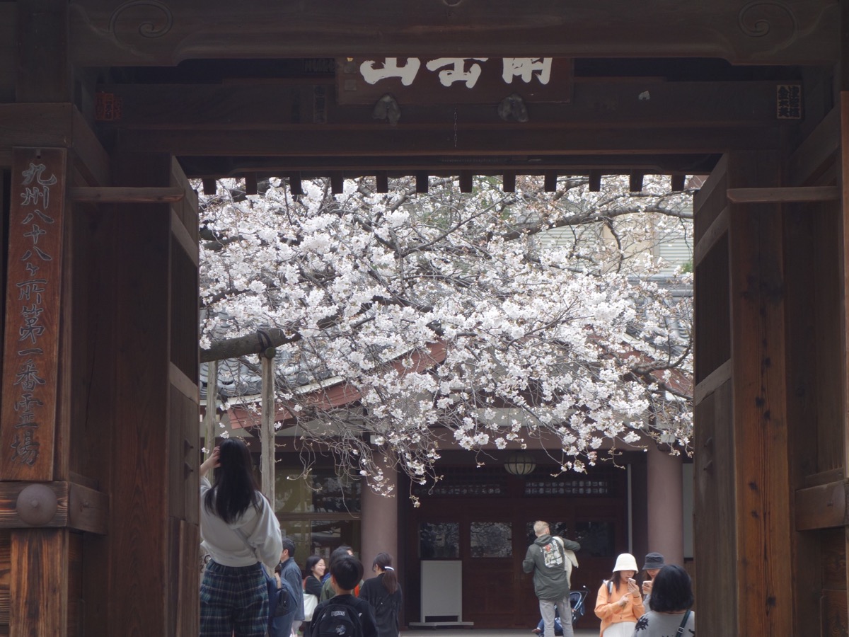 東長寺