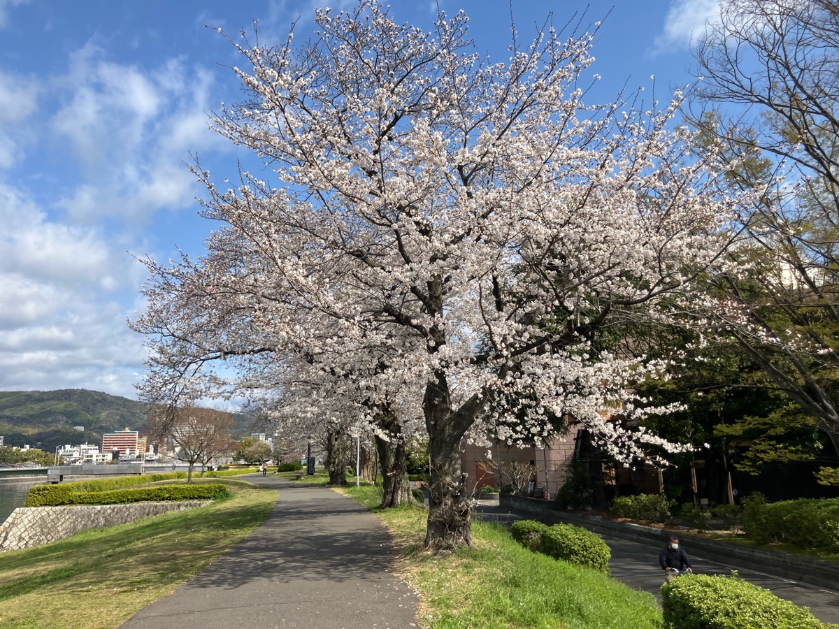 広島市中央公園