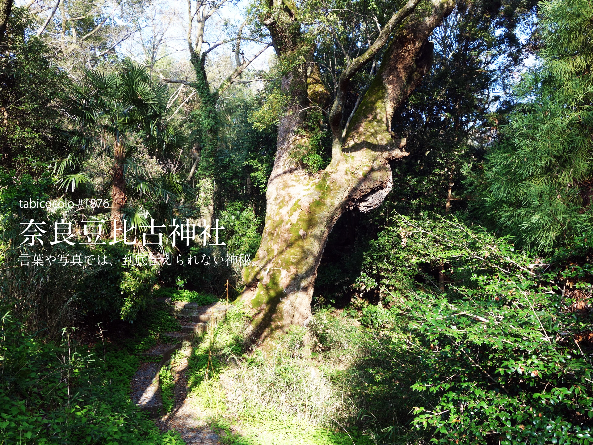 奈良豆比古神社
