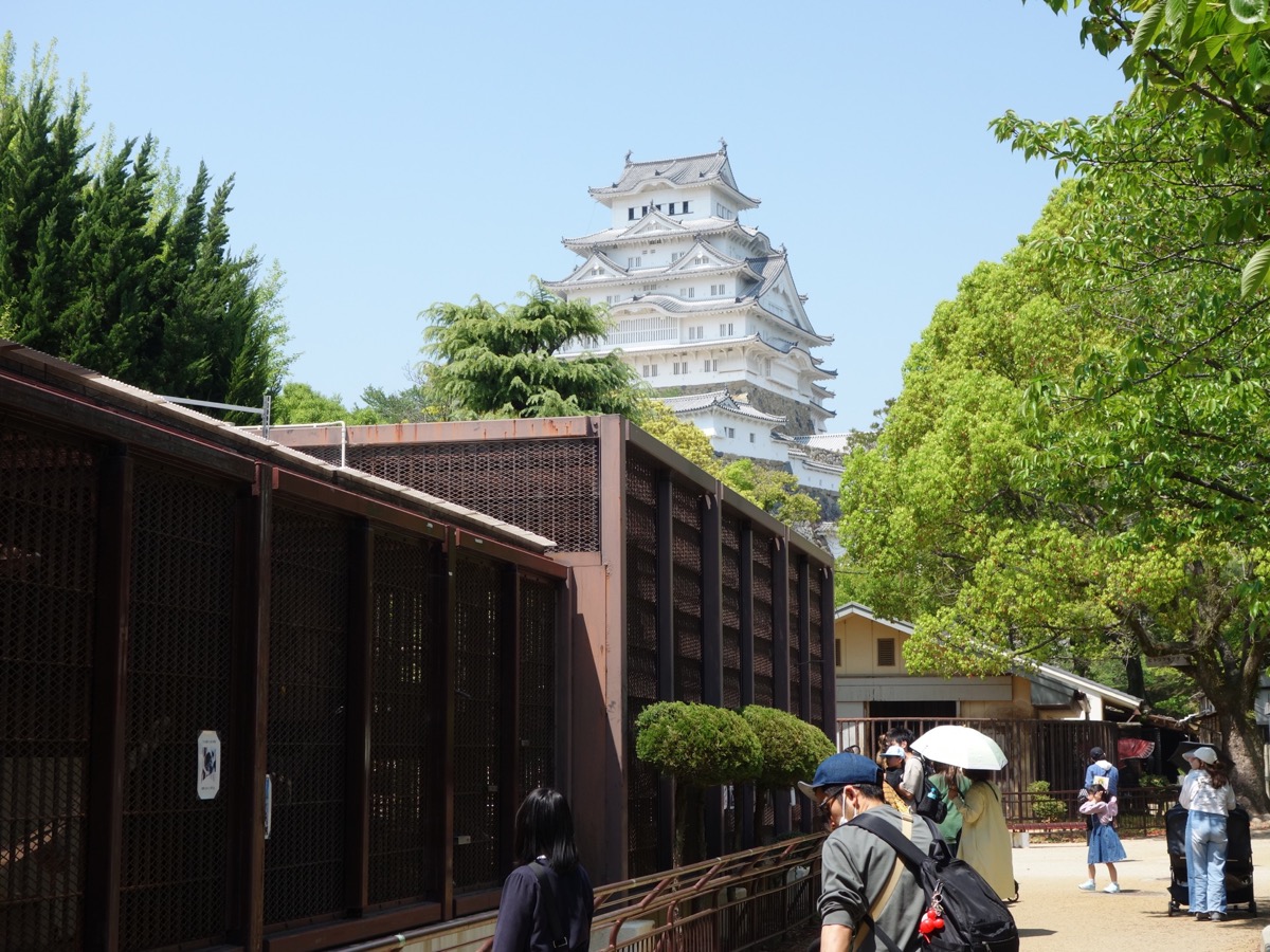 姫路市立動物園