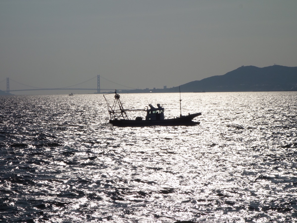 神戸空港島西緑地