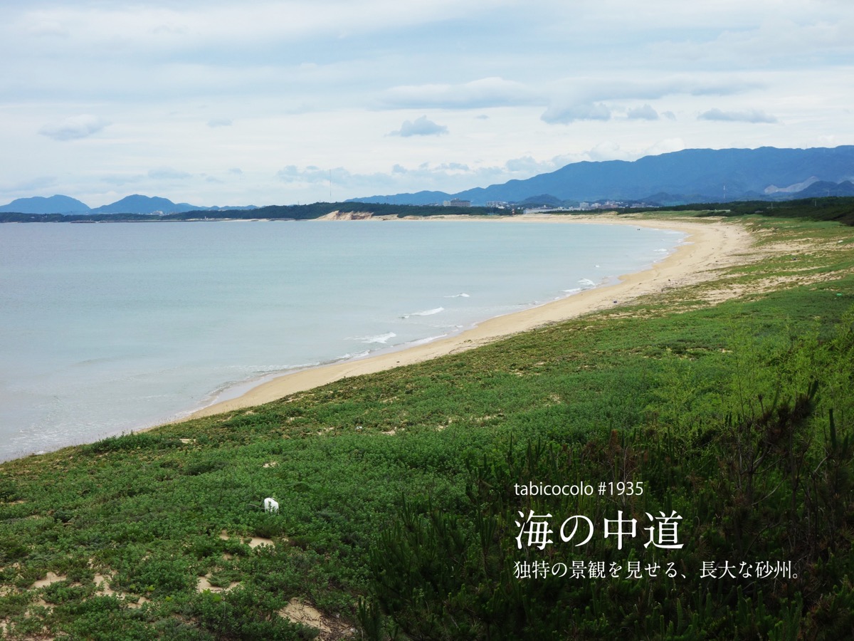 海の中道